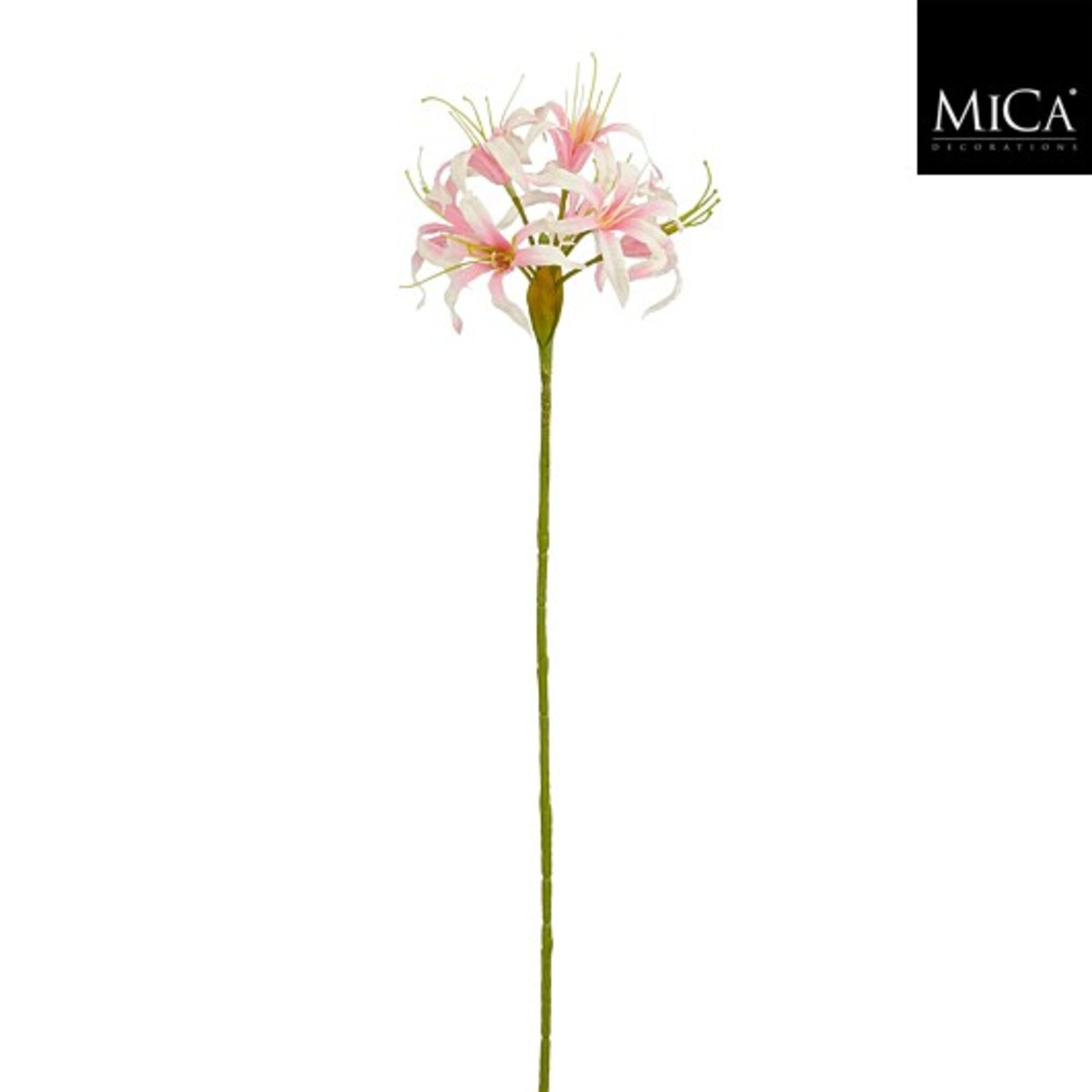 Nerine roze