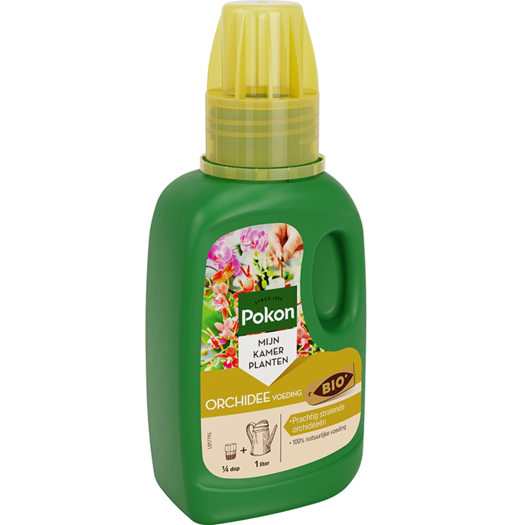 Pokon Bio Orchidee Voeding