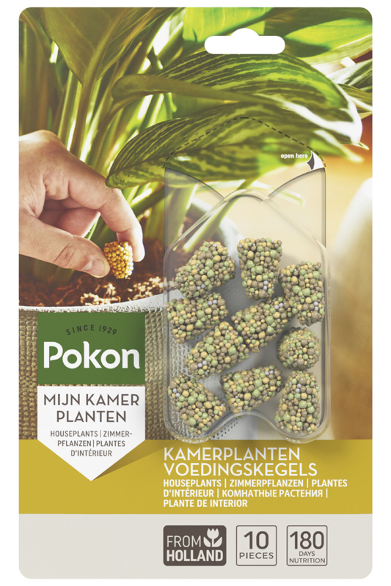 Pokon Kamerplanten Voedingskegels