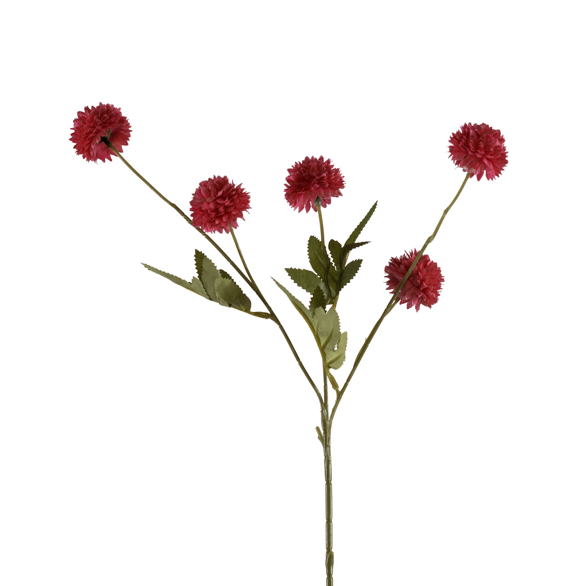 Gompy spray x5 rose