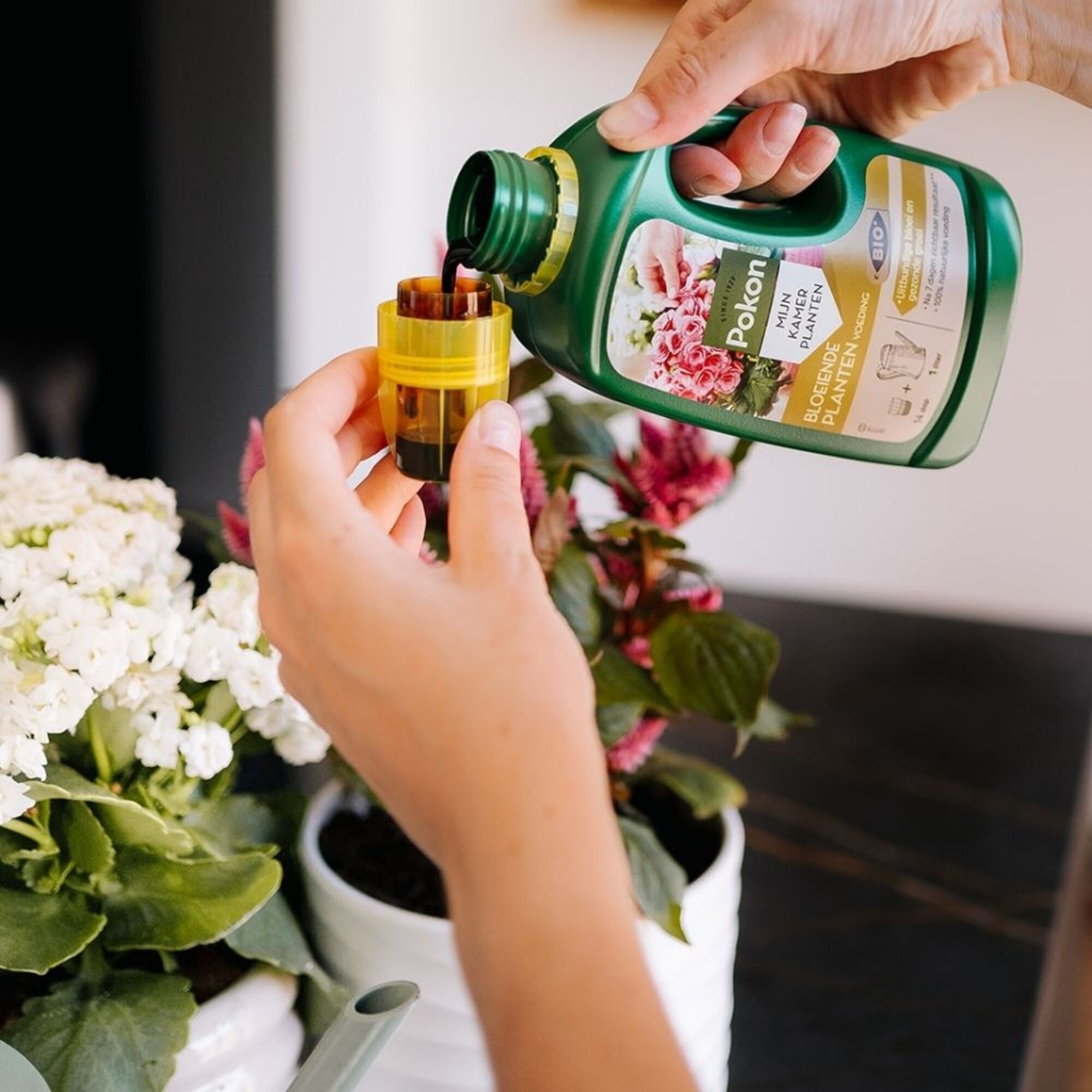 Pokon Bio Bloeiende Planten Voeding