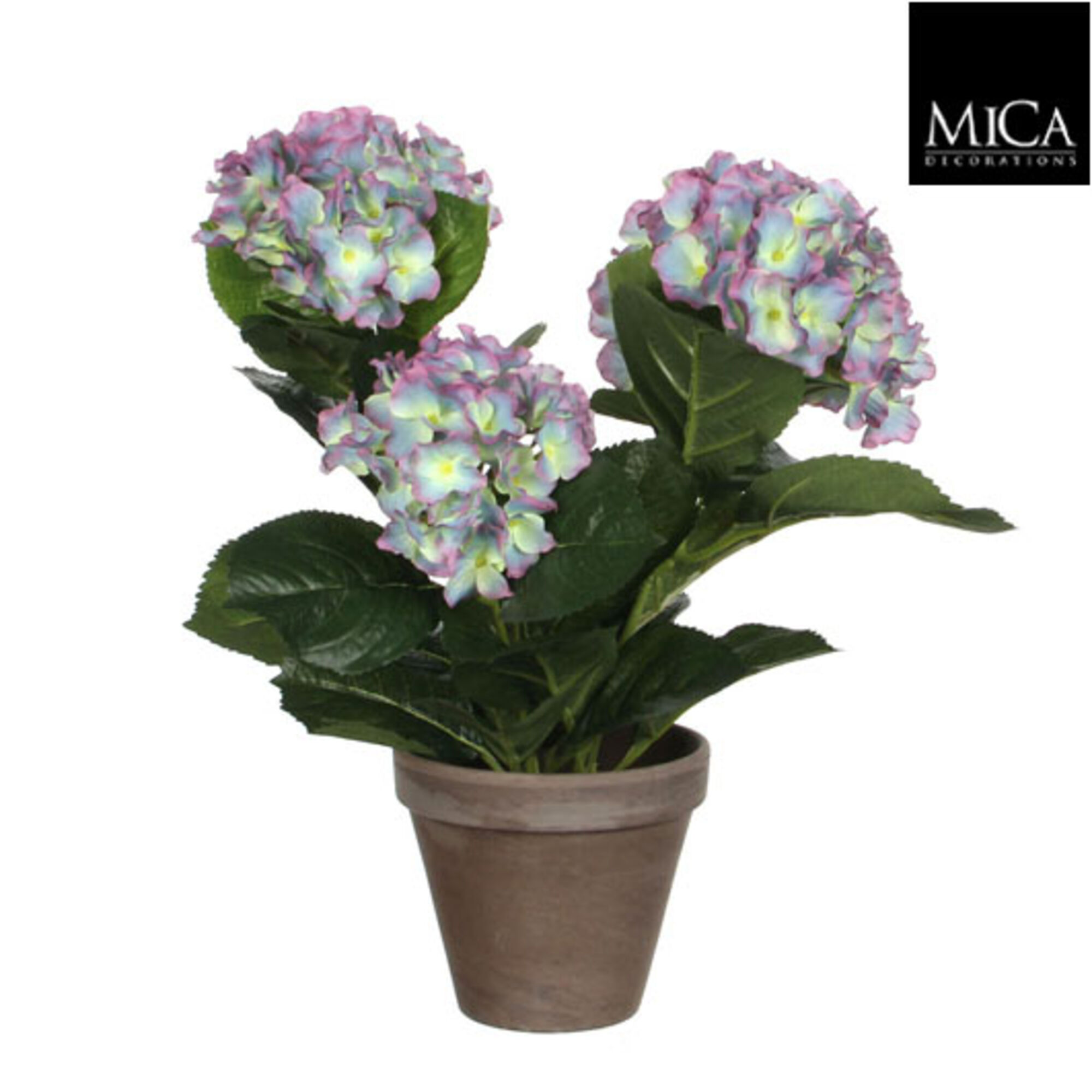Hortensia paars in pot Stan grijs d13,5cm