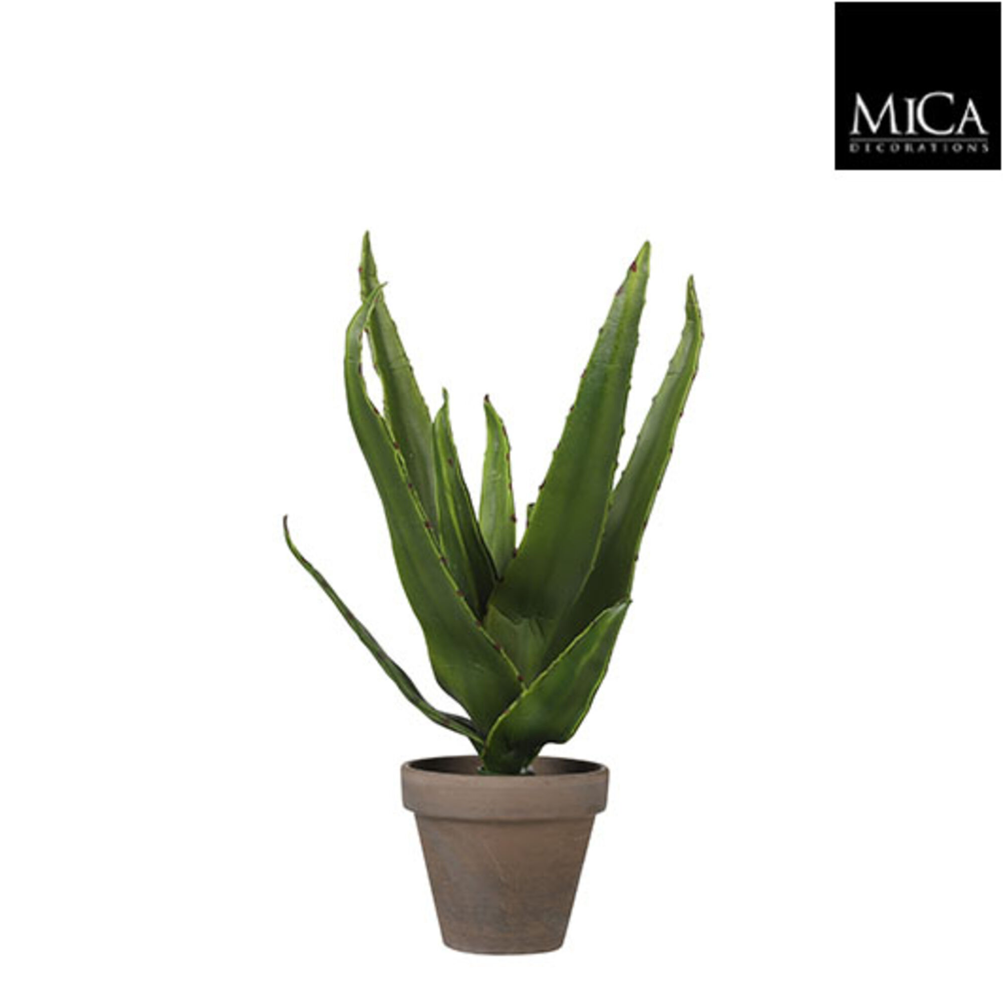 Aloe vera groen in pot Stan grey d9cm