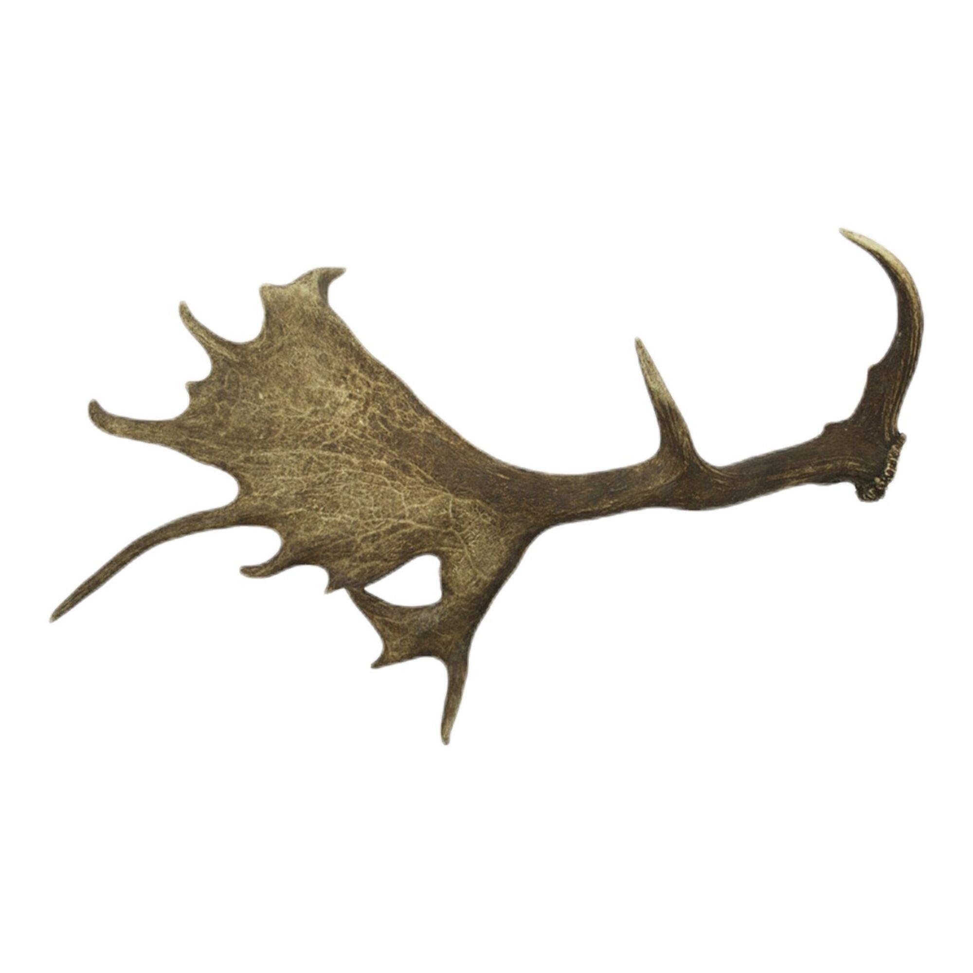 afworpstang damhert (A/1kg)