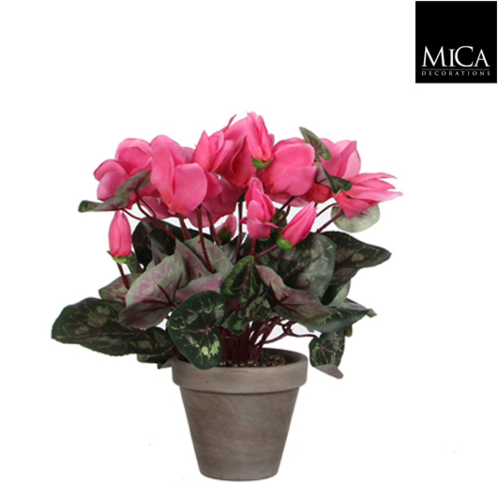 Cyclaam l.roze in pot Stan grijs d11,5cm