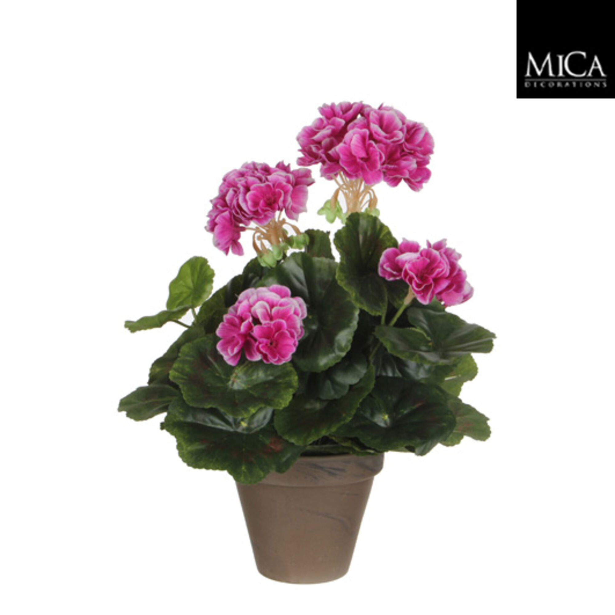 Geranium paars in pot Stan grijs d11,5cm