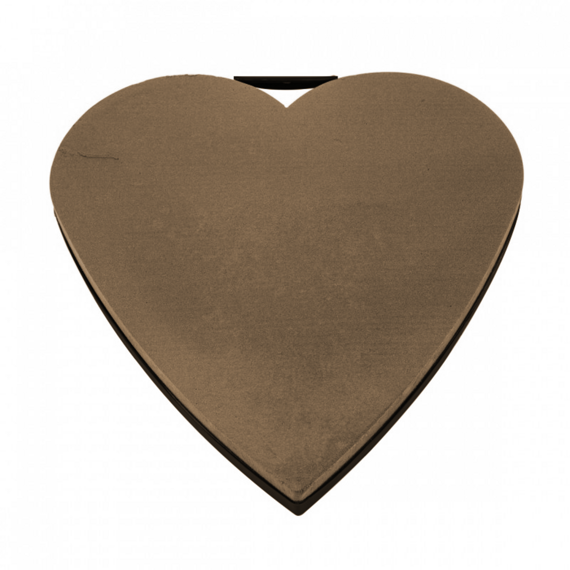 Oasis Naylorbase Bio Heart