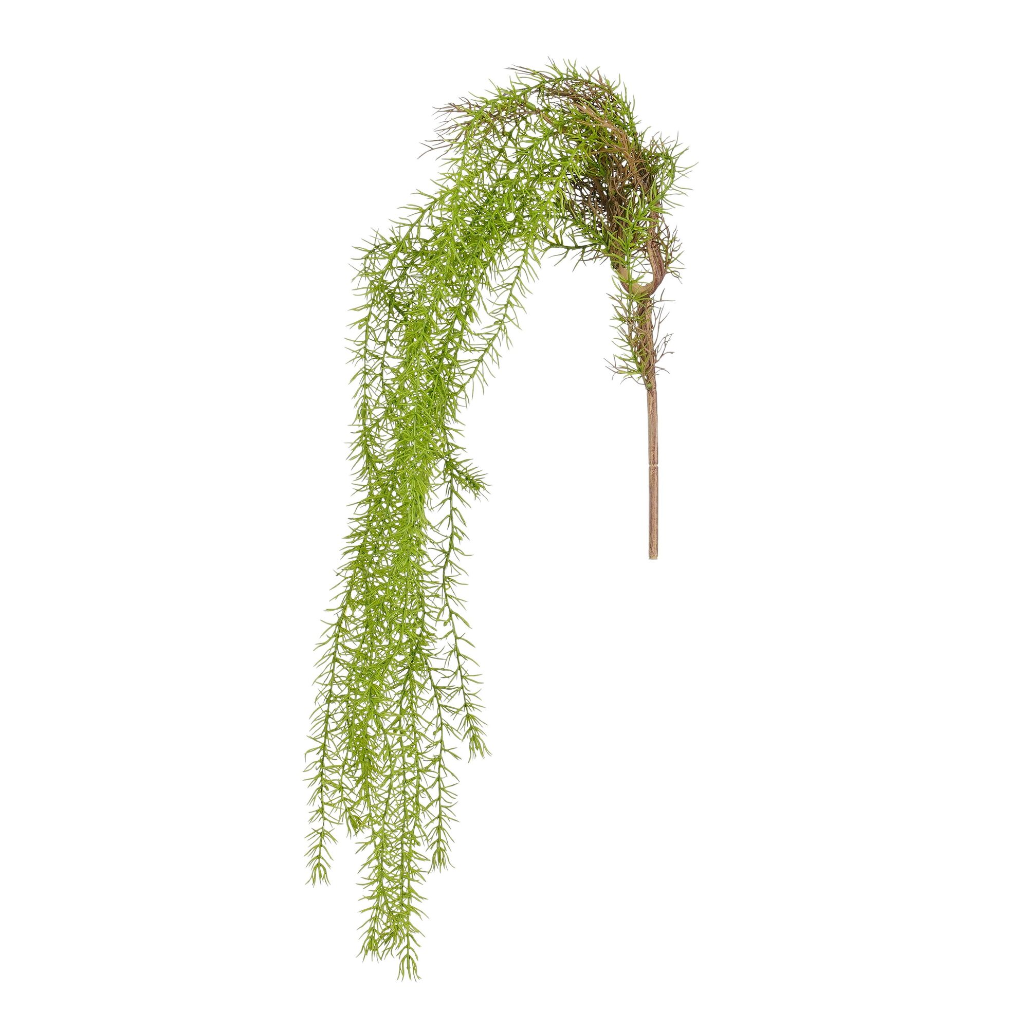 Springeria bos hangend groen