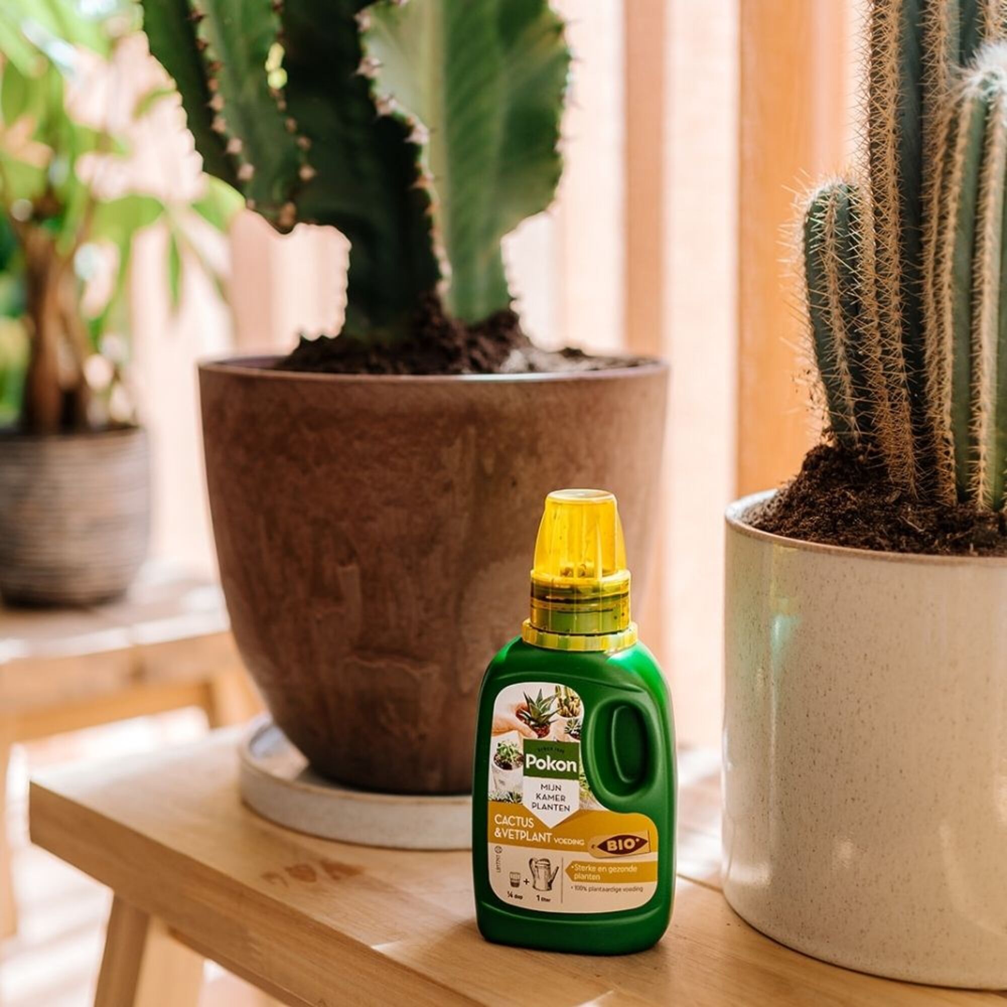 Pokon Bio Cactus & Vetplant Voeding