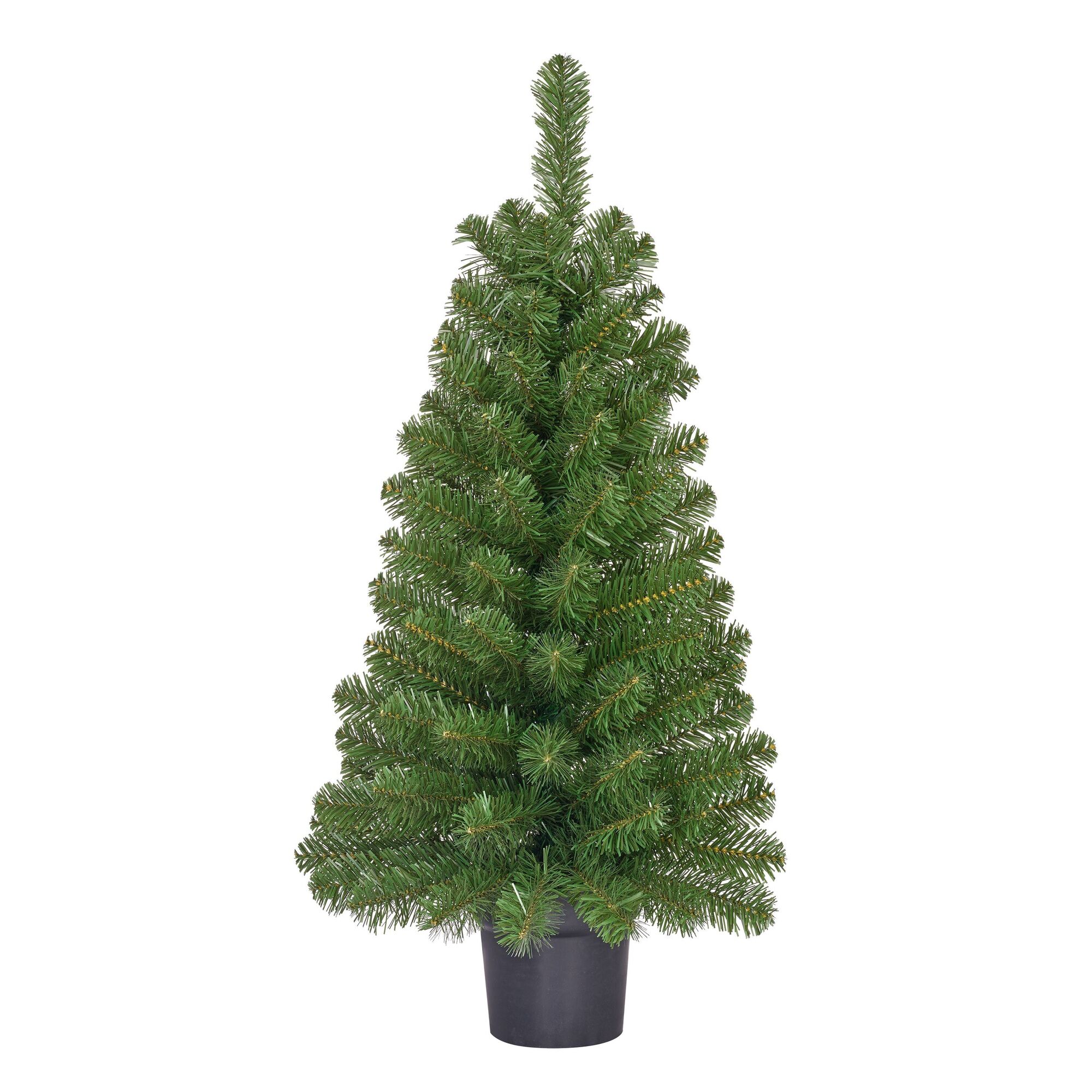 Norton kerstboom potted groen TIPS 92