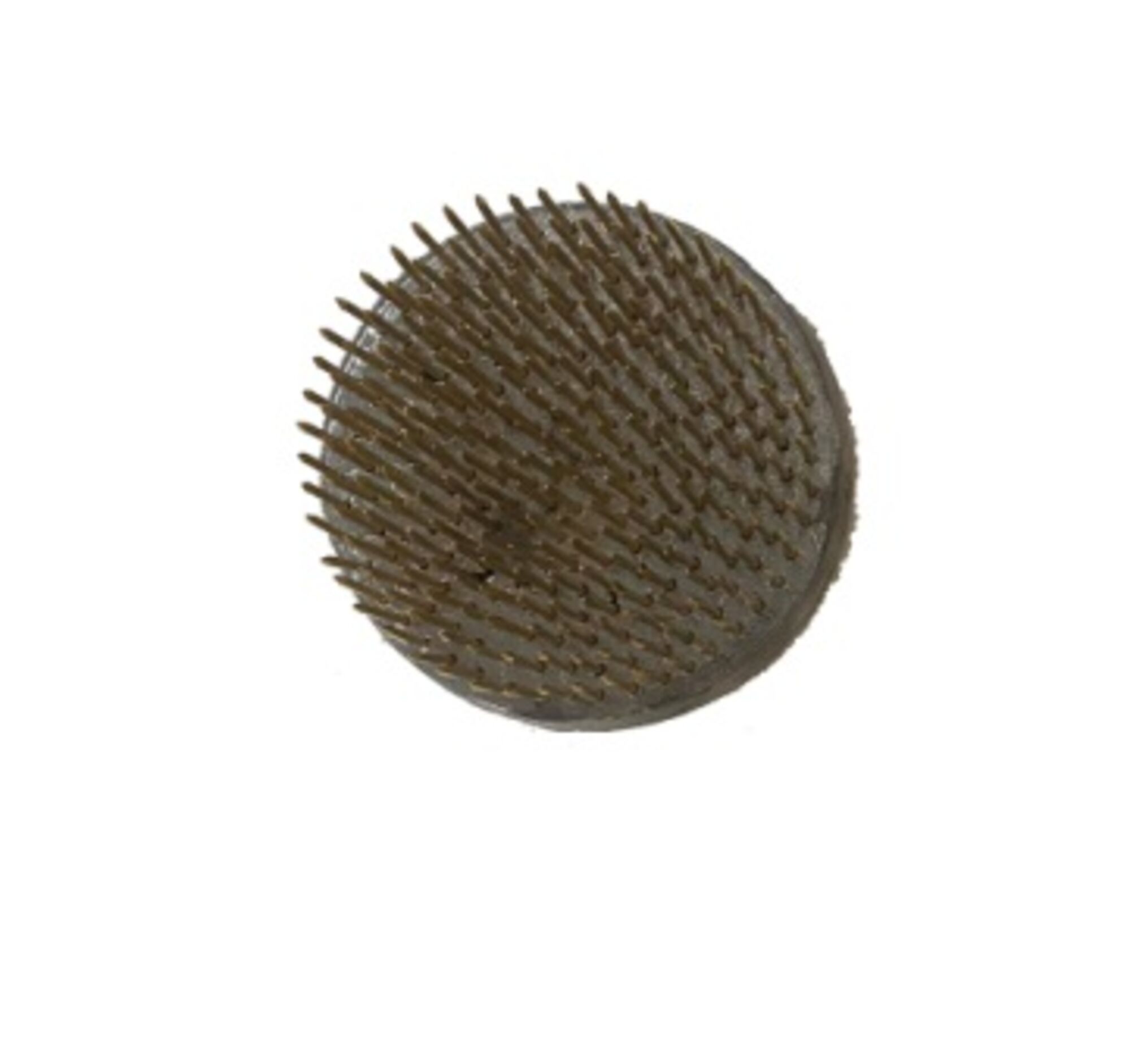 Oasis Kenzan, metal pinholder