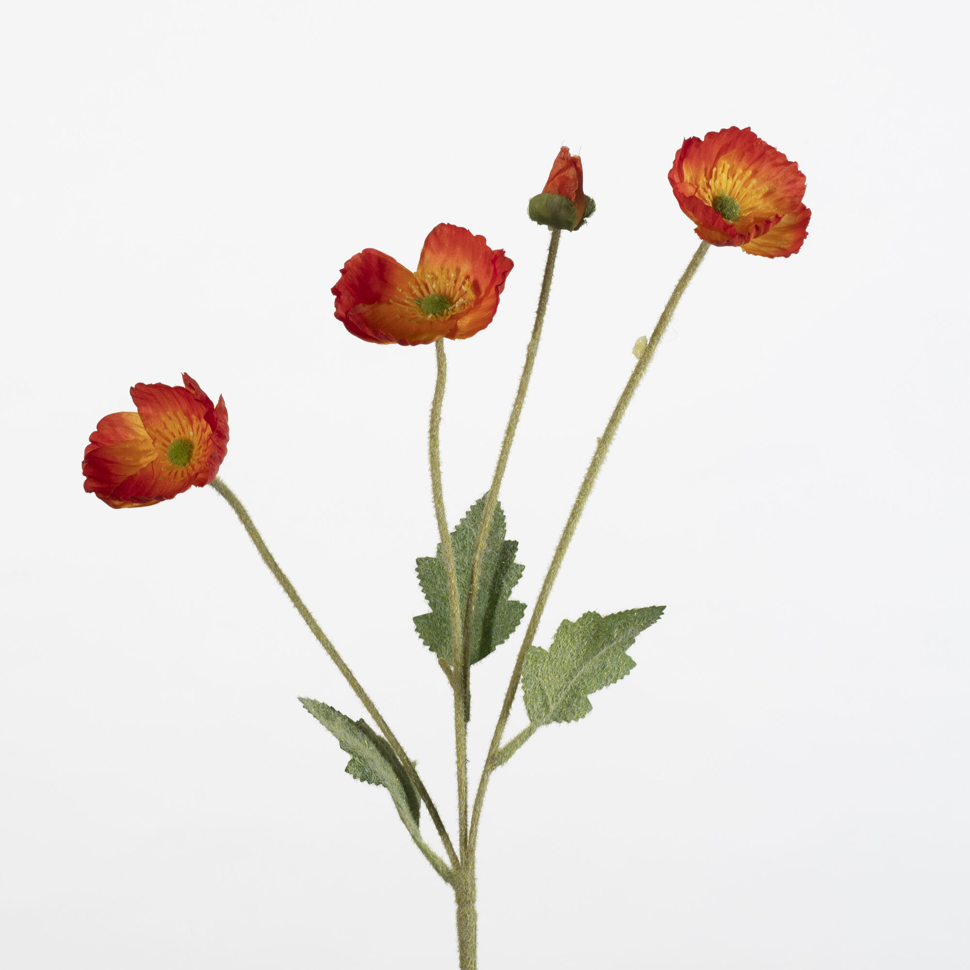 Papaver spray x4 flock - orange