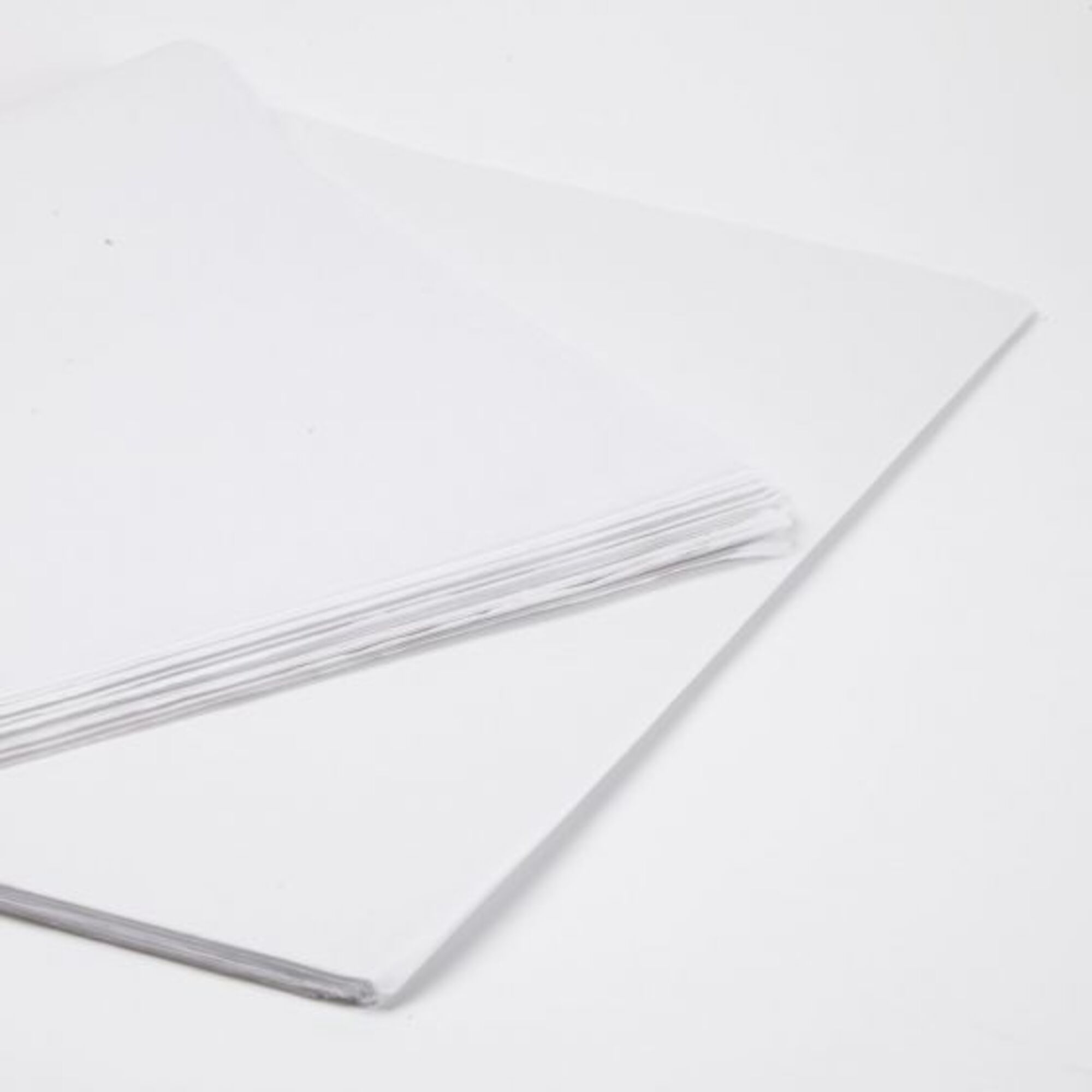 Tissue Paper - Wit