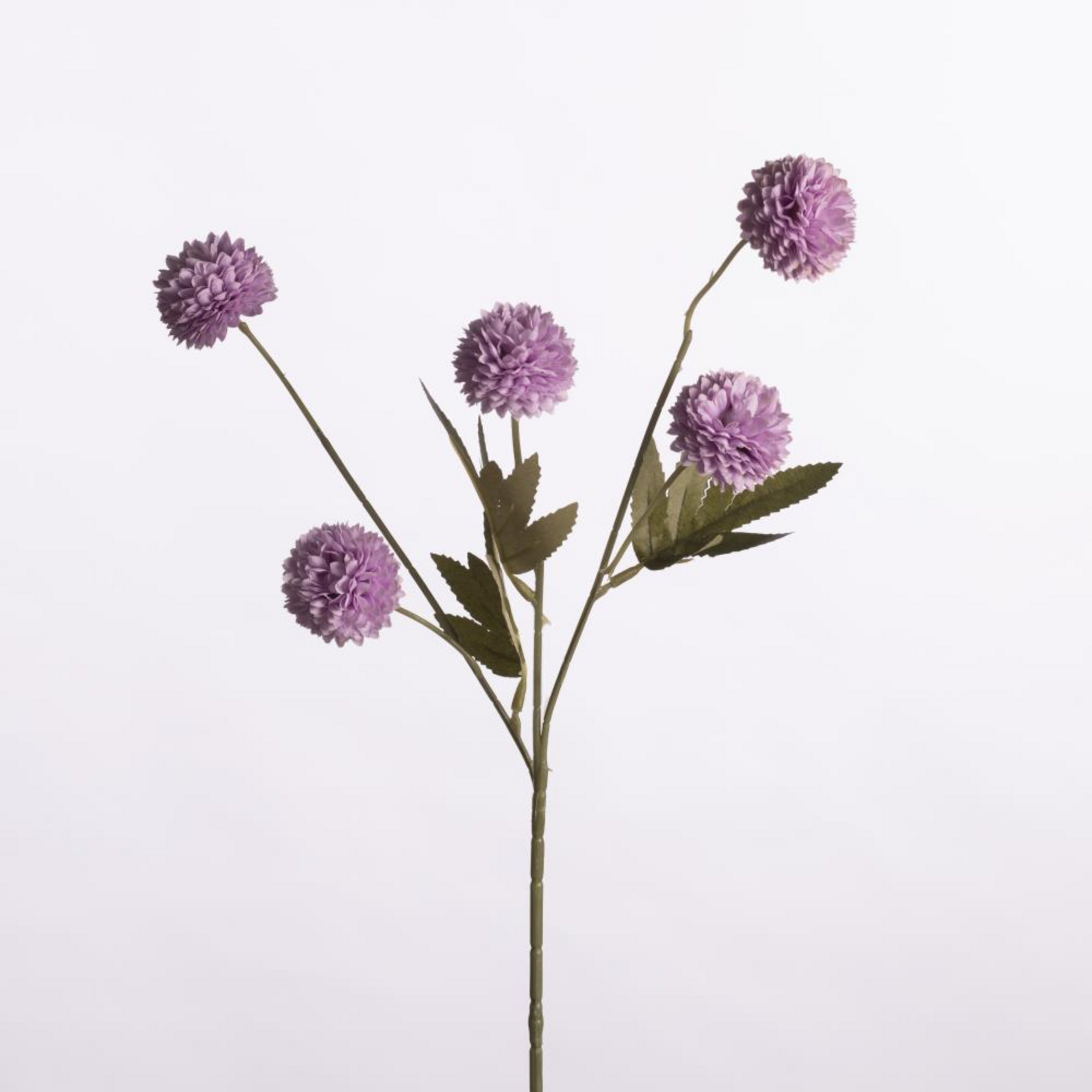 Gompy spray x5 - lilac