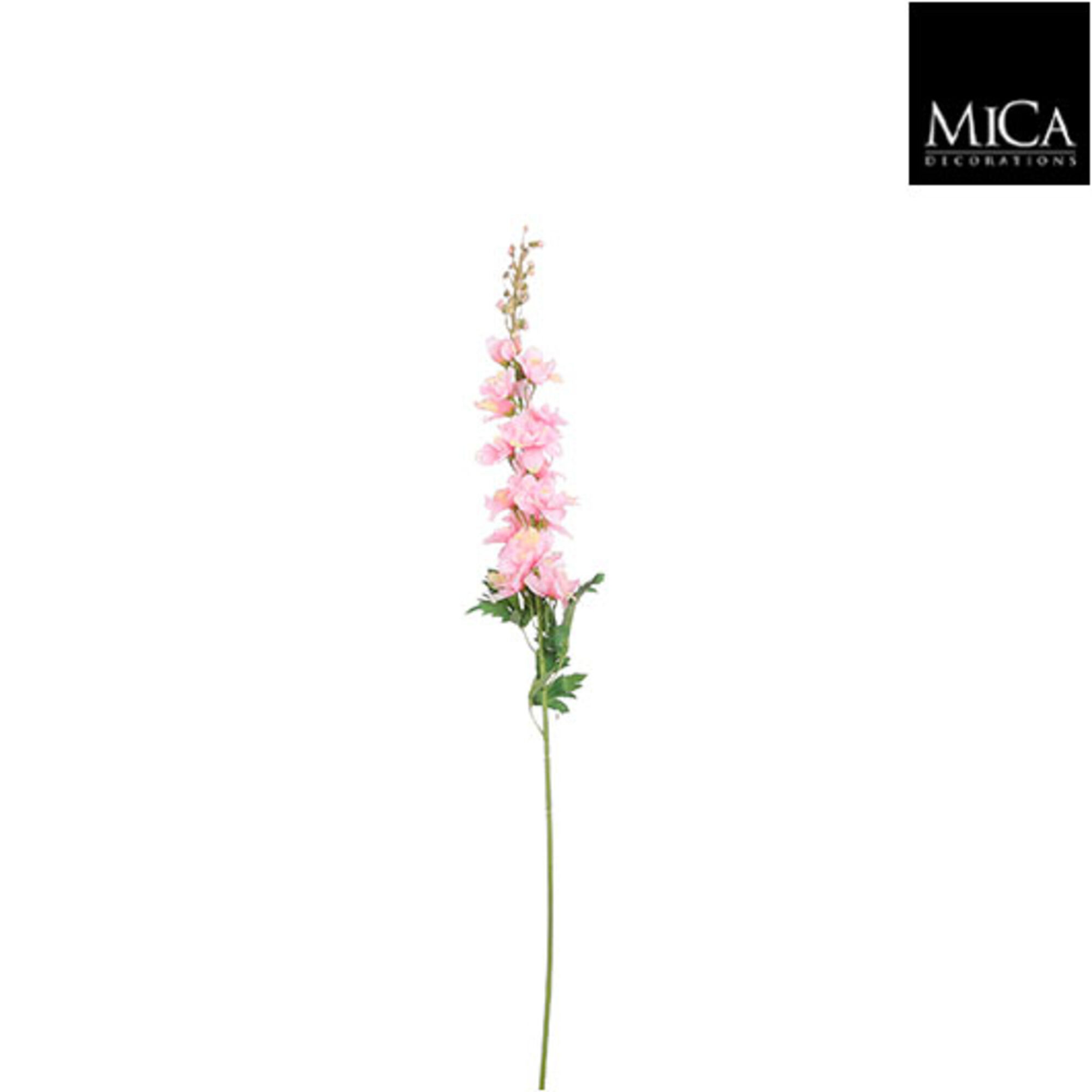 Delphinium roze