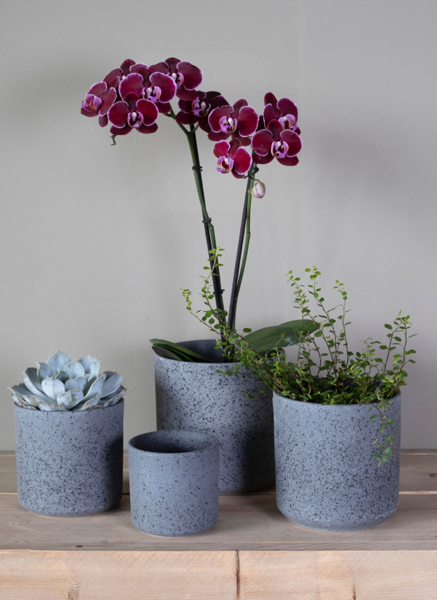 Cylinder Bloempot Keramiek zwart