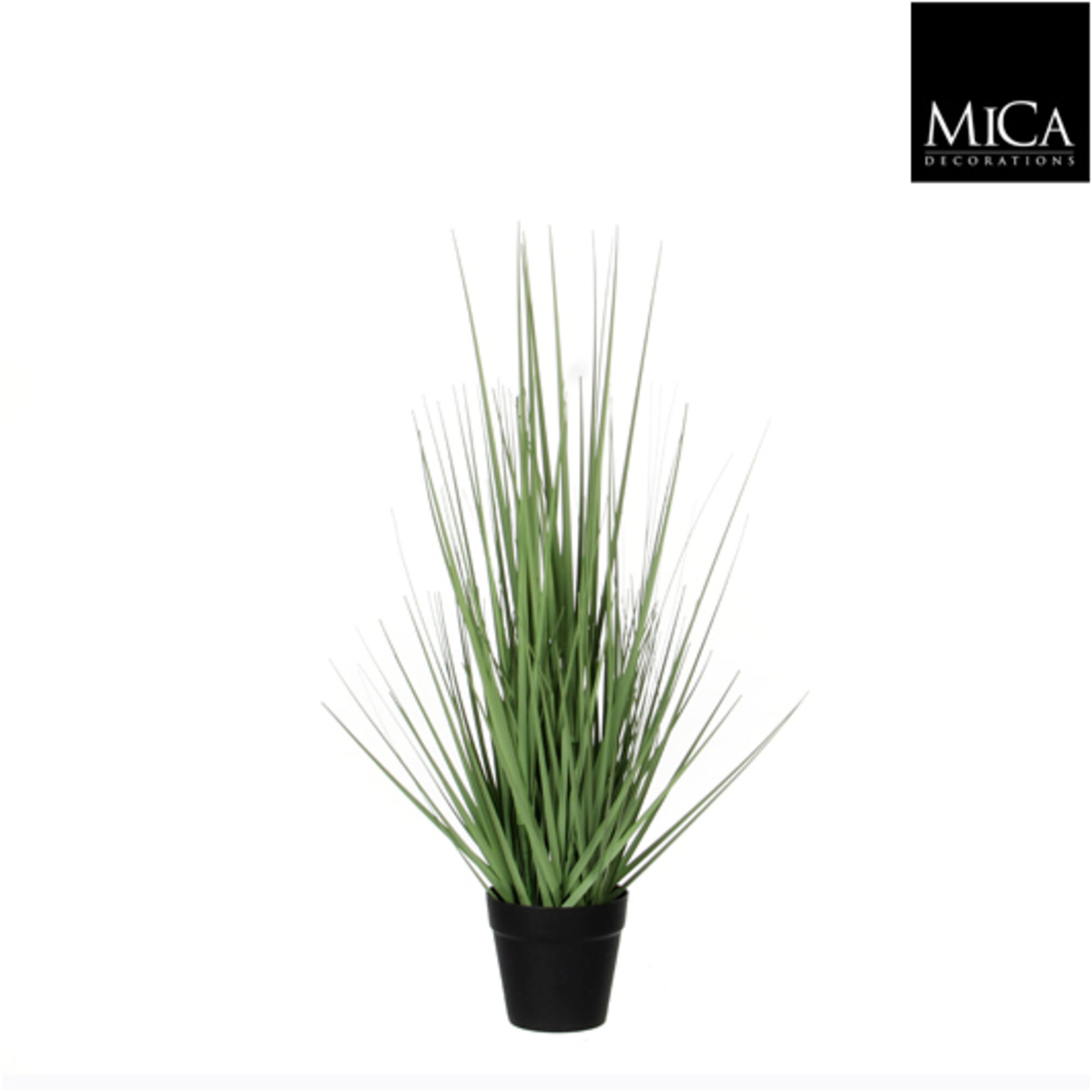Gras groen in plastic pot d10cm