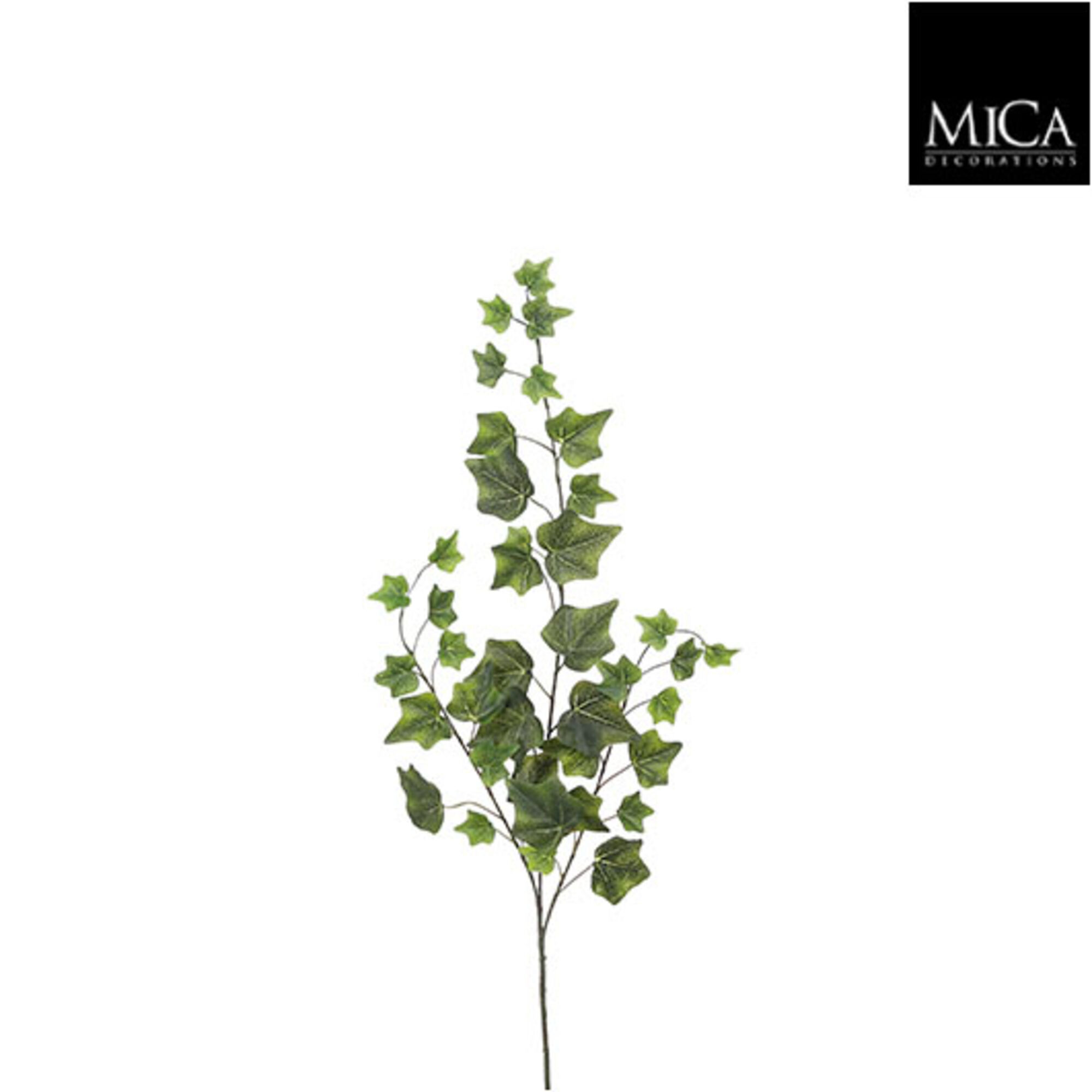 Hedera groen