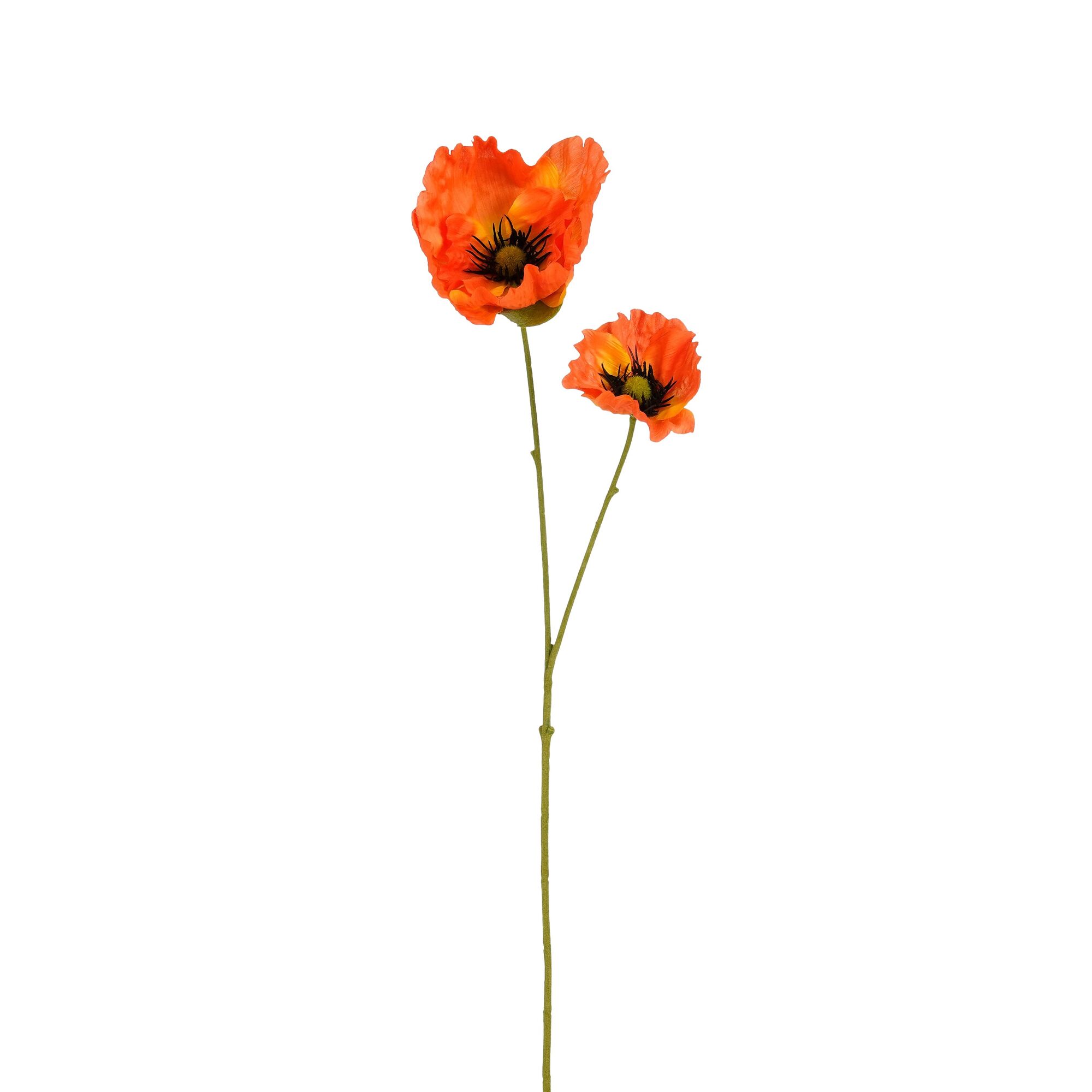 Klaproos oranje Leafless
