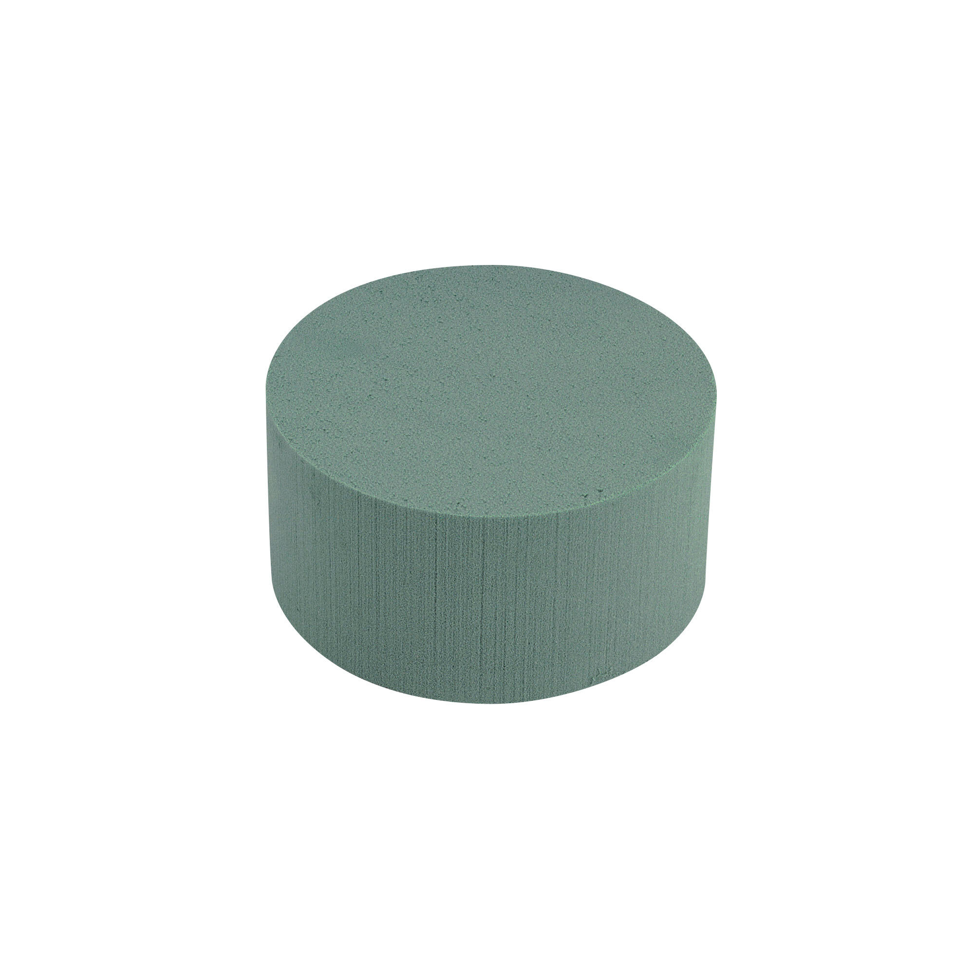 Oasis Ideal Cake Dummy