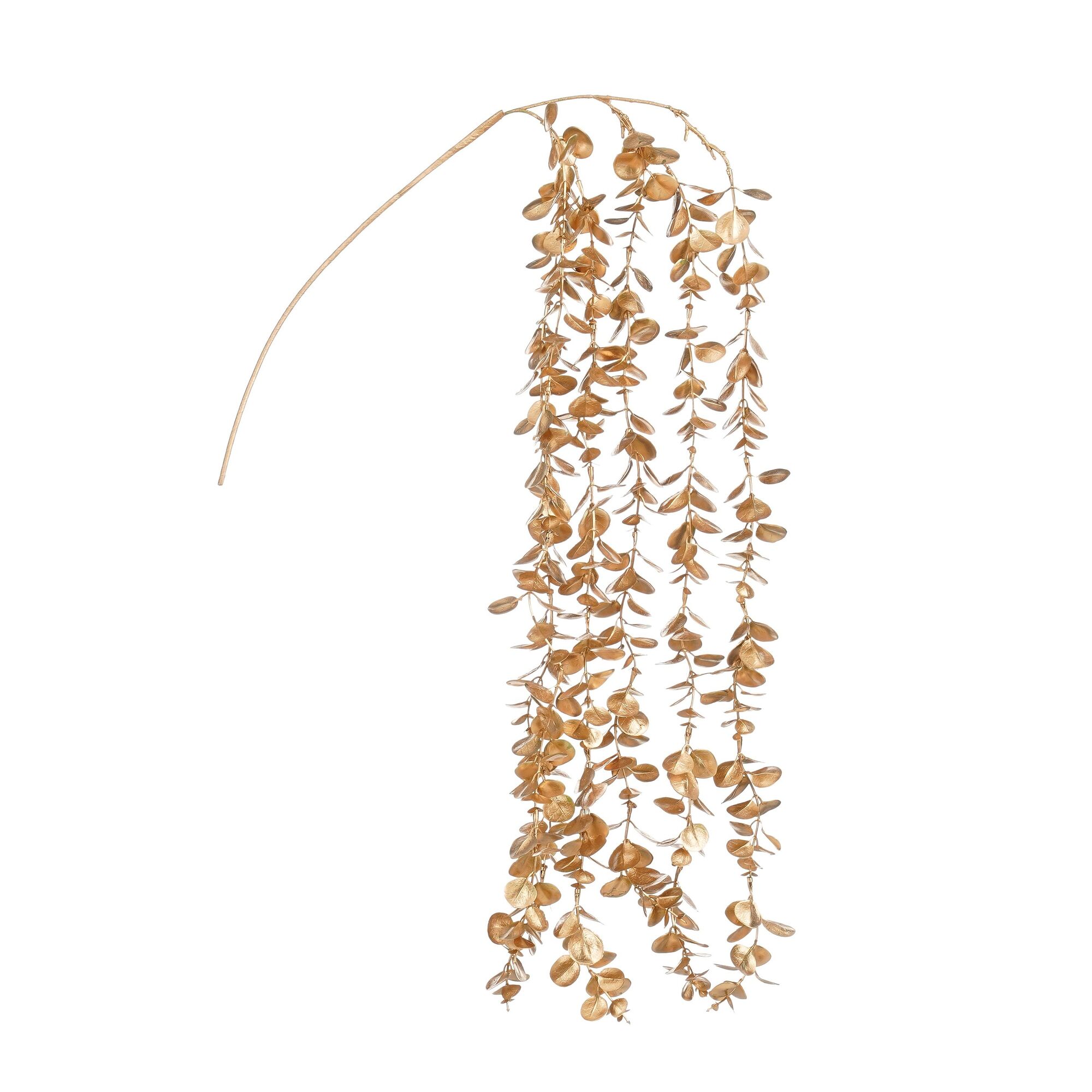 Eucalyptus hangend goud