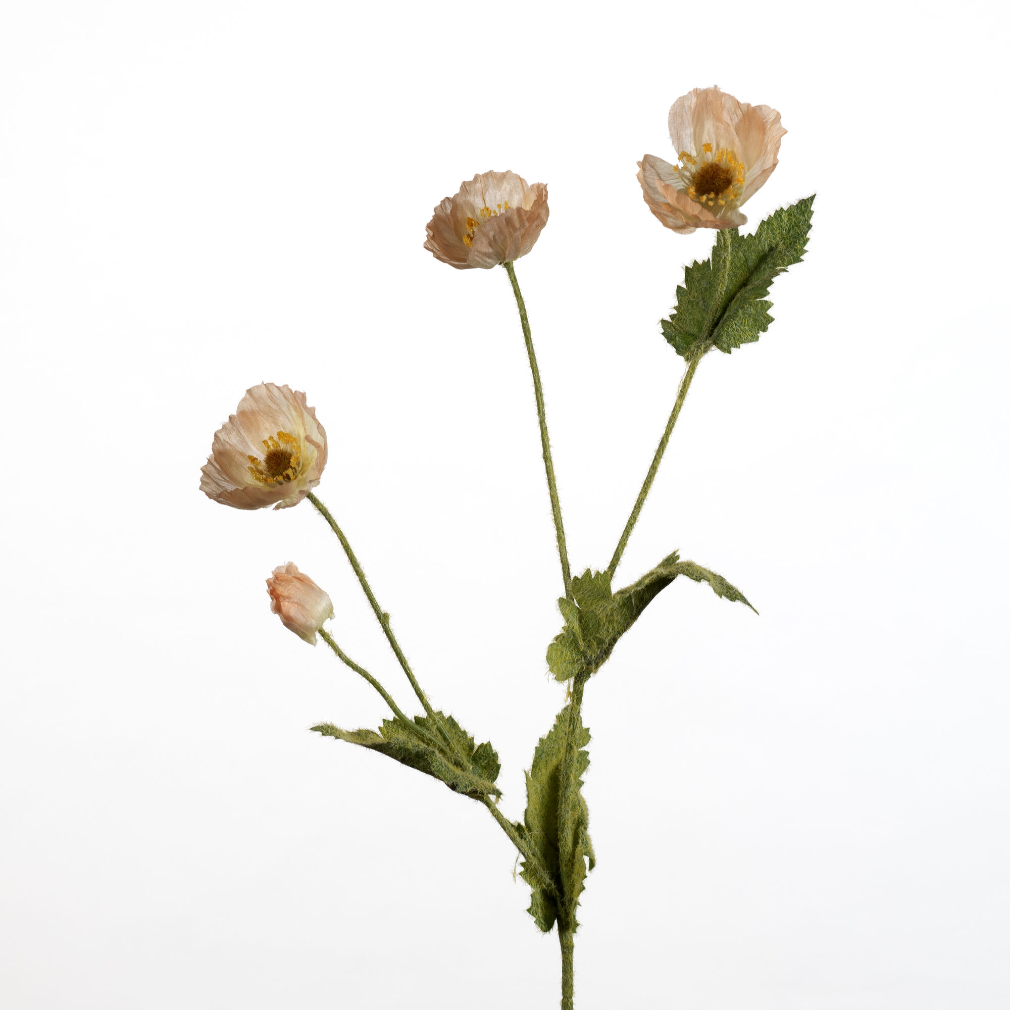 Papaver spray x4 flock - peach