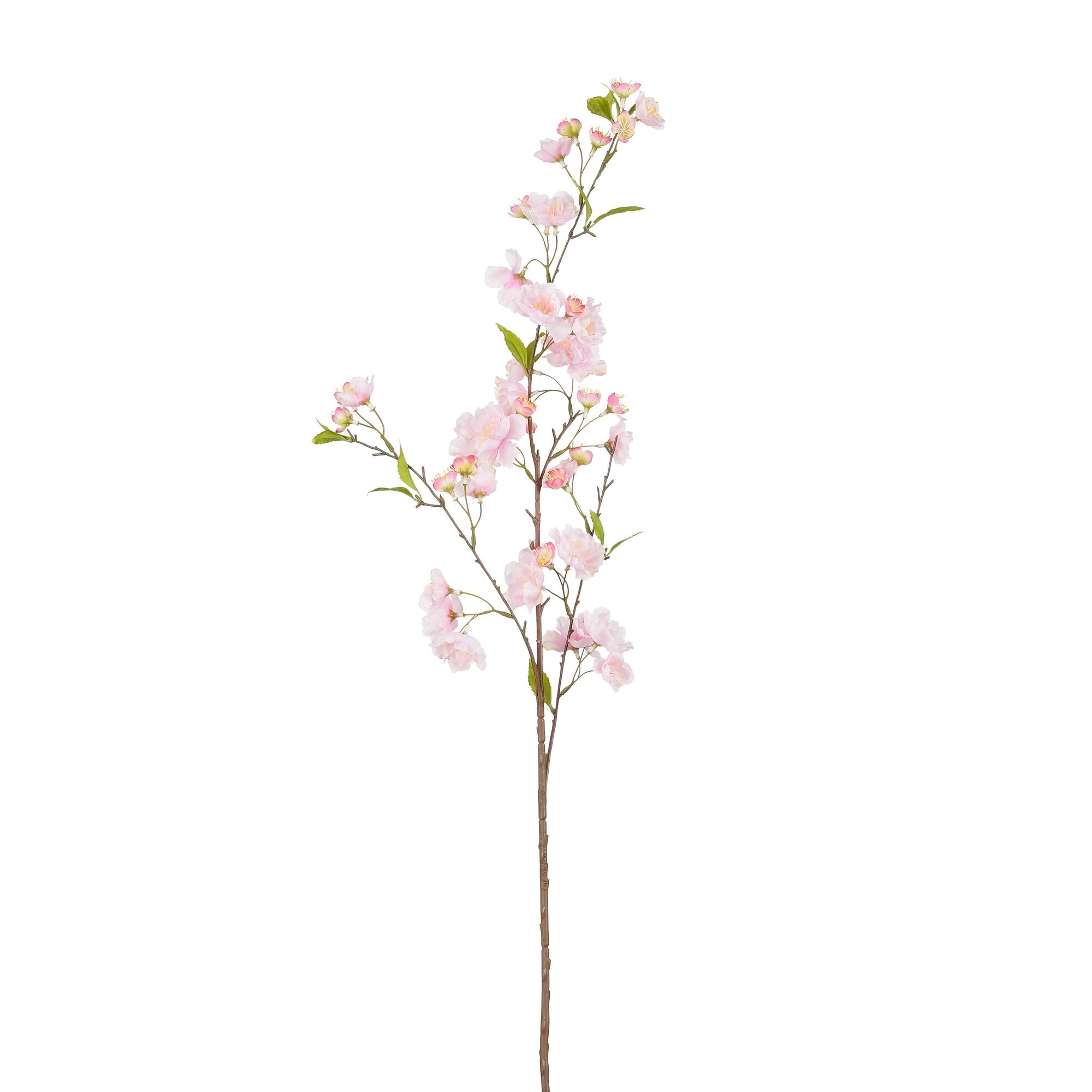 Kersenbloesem roze