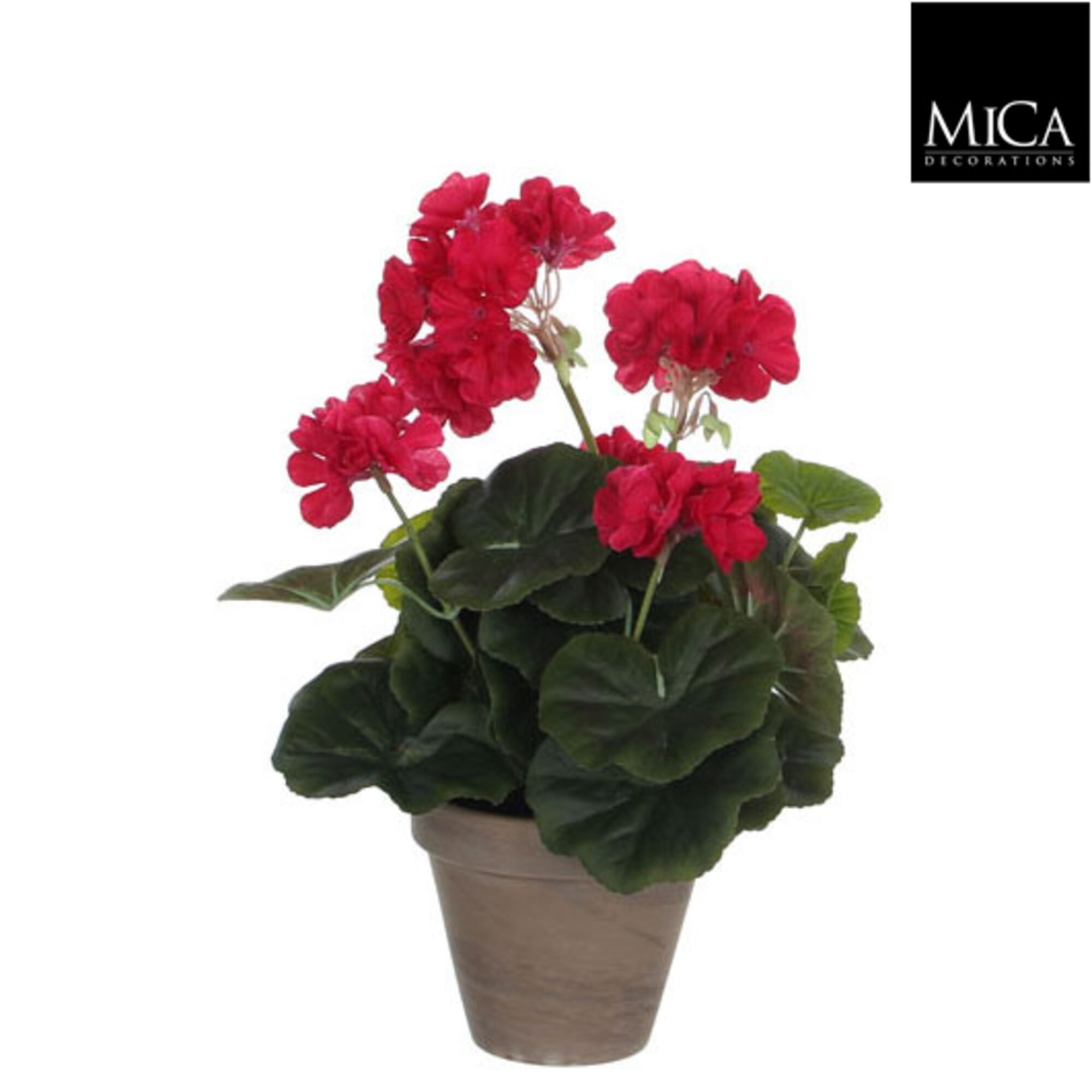 Geranium d.roze in pot Stan grijs d11,5cm