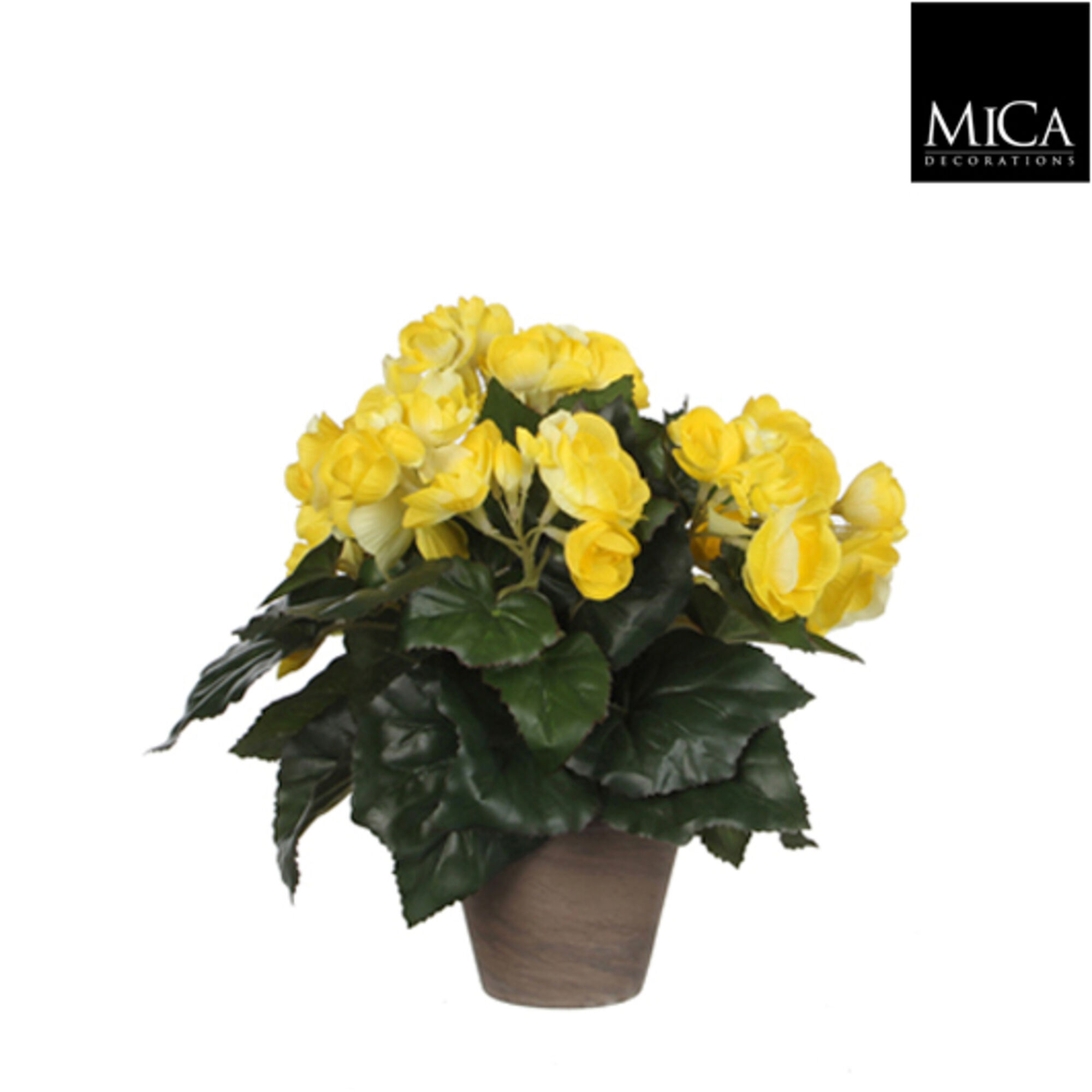 Begonia geel in pot Stan grijs d11,5cm