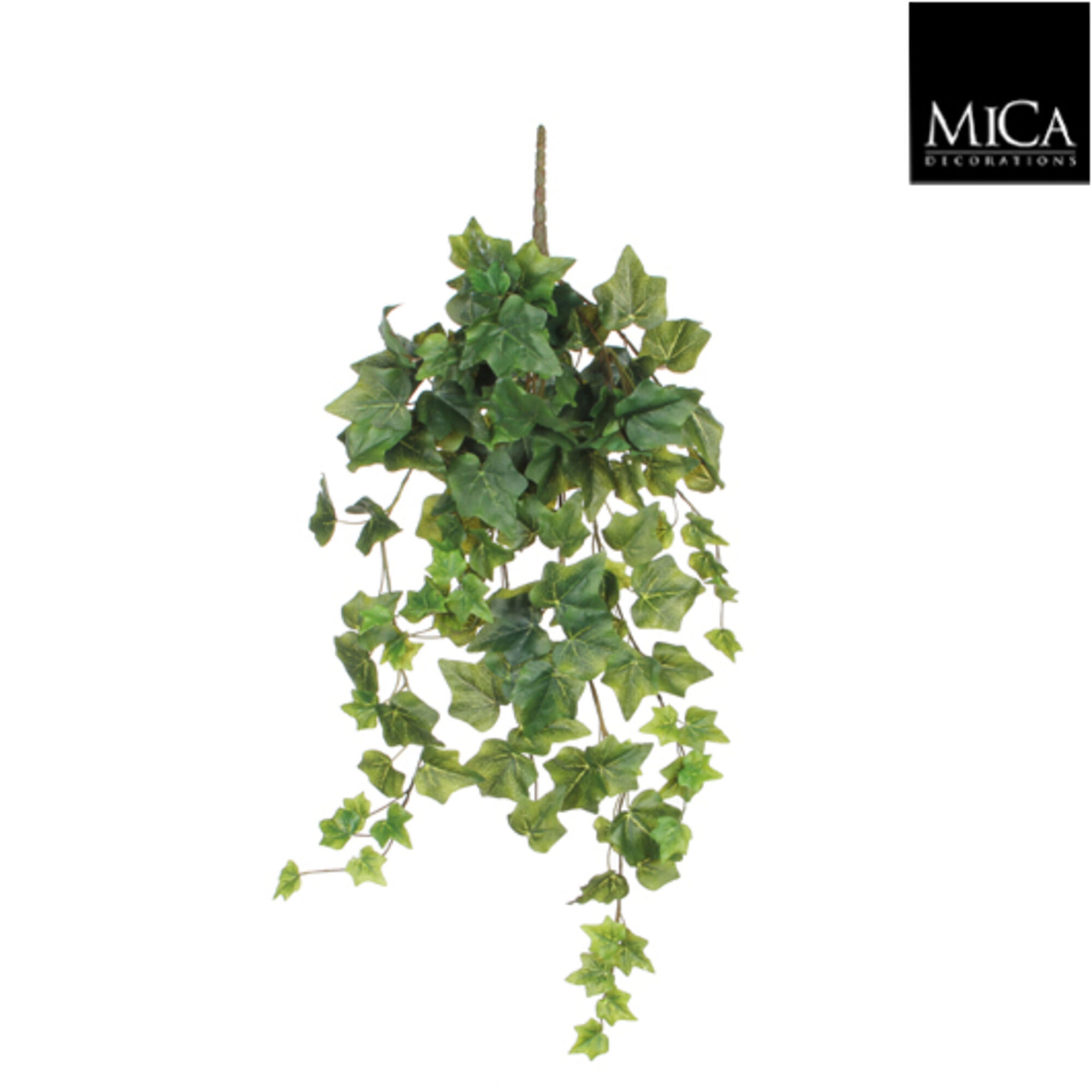 Hedera hangend groen