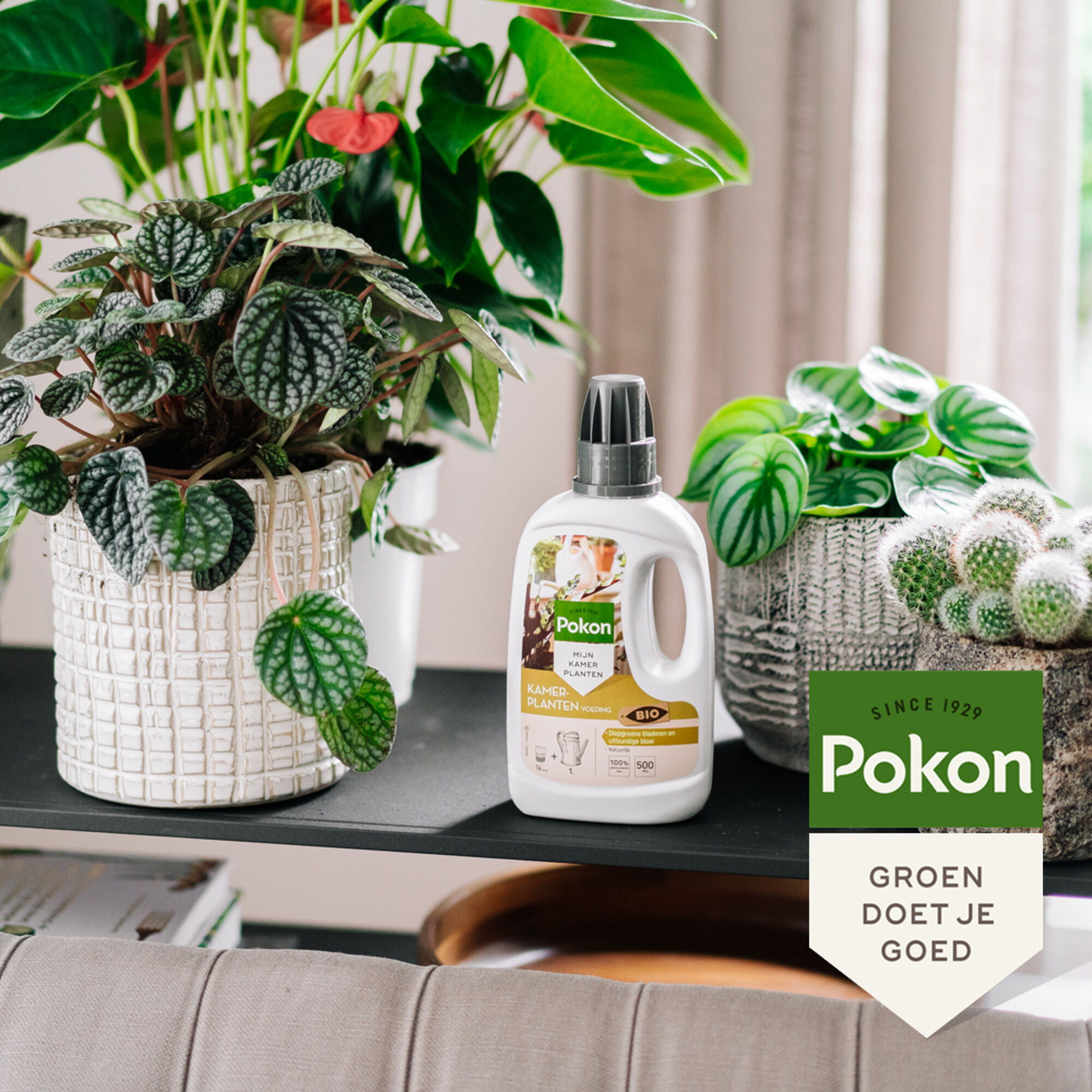 Pokon Bio Kamerplanten Voeding