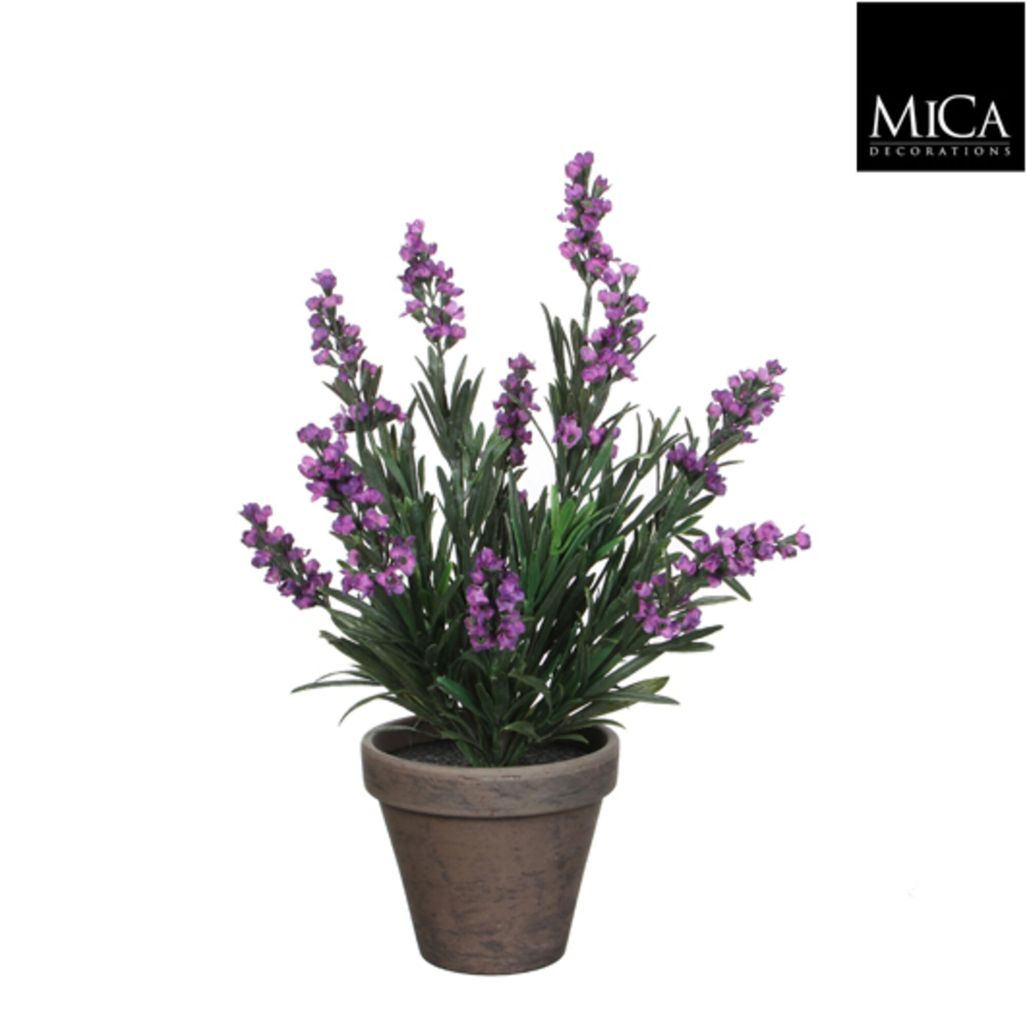 Lavendel paars in pot Stan grijs d11,5cm