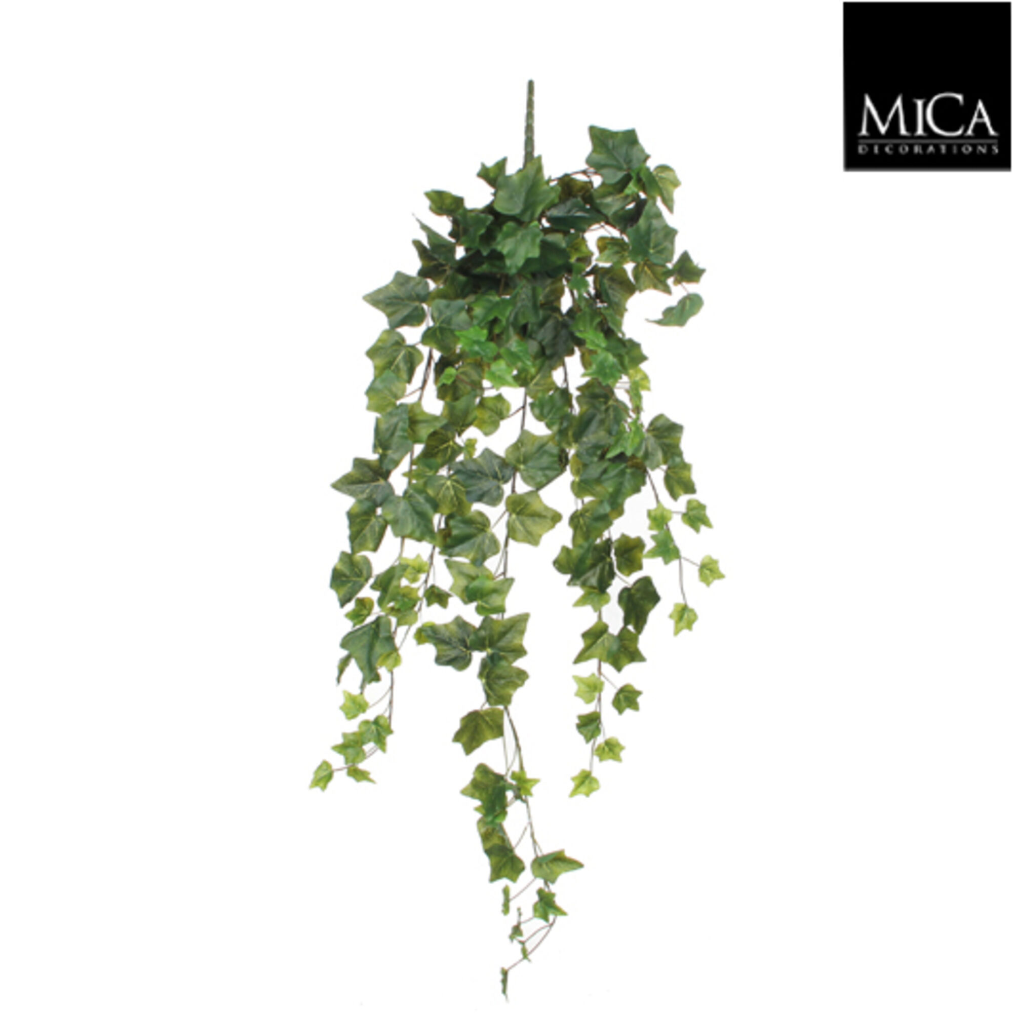 Hedera hangend groen