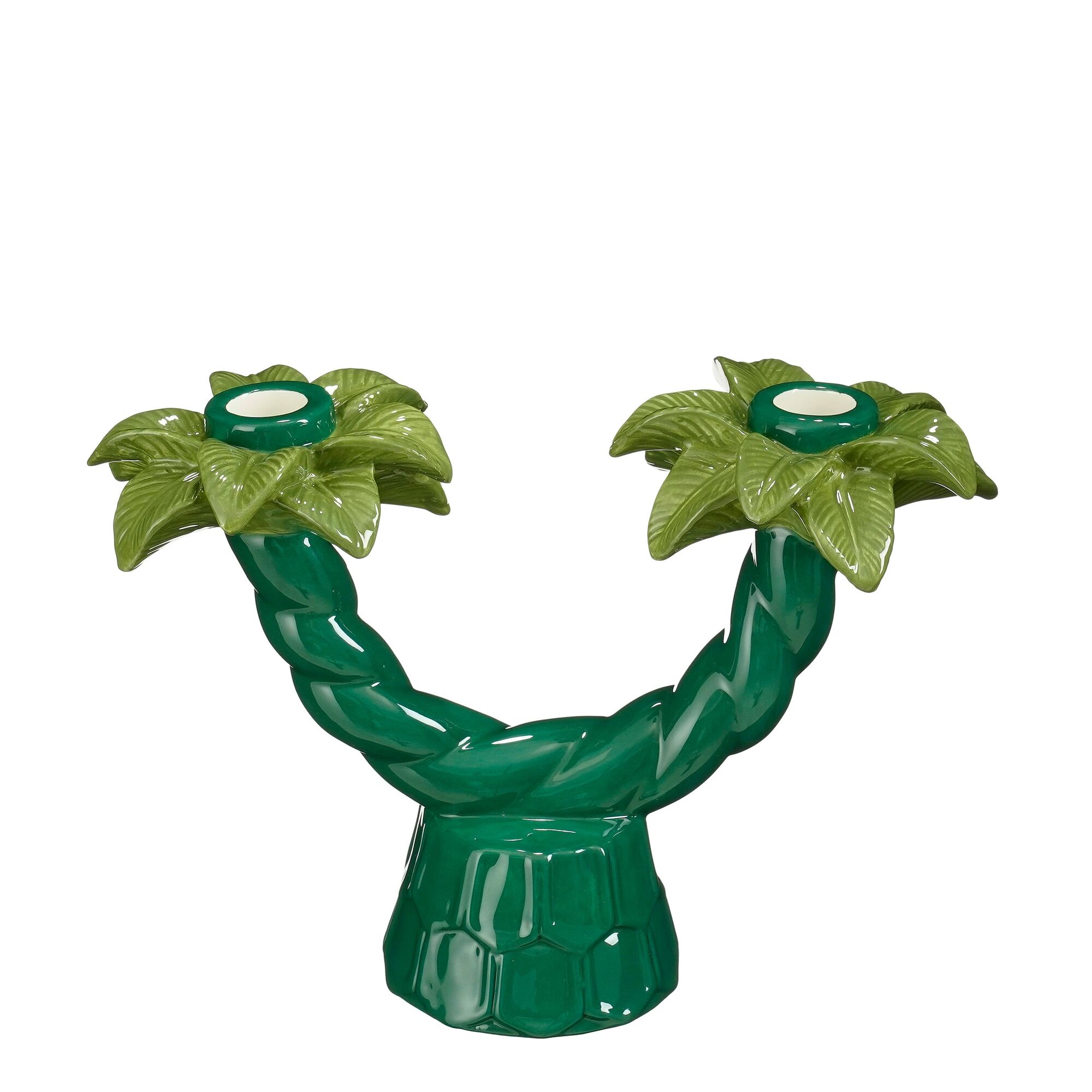 Kandelaar kokosnoot boom groen