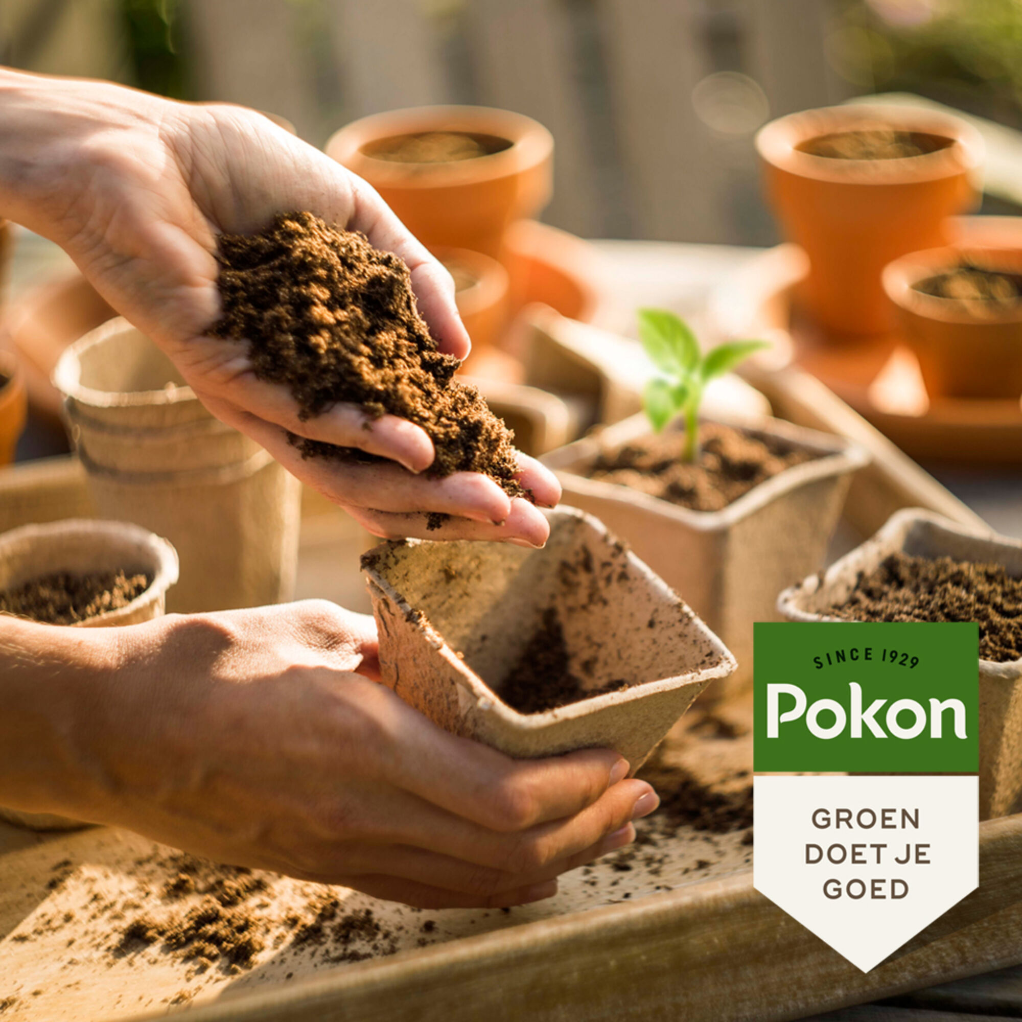 Pokon Bio Moestuin Grond