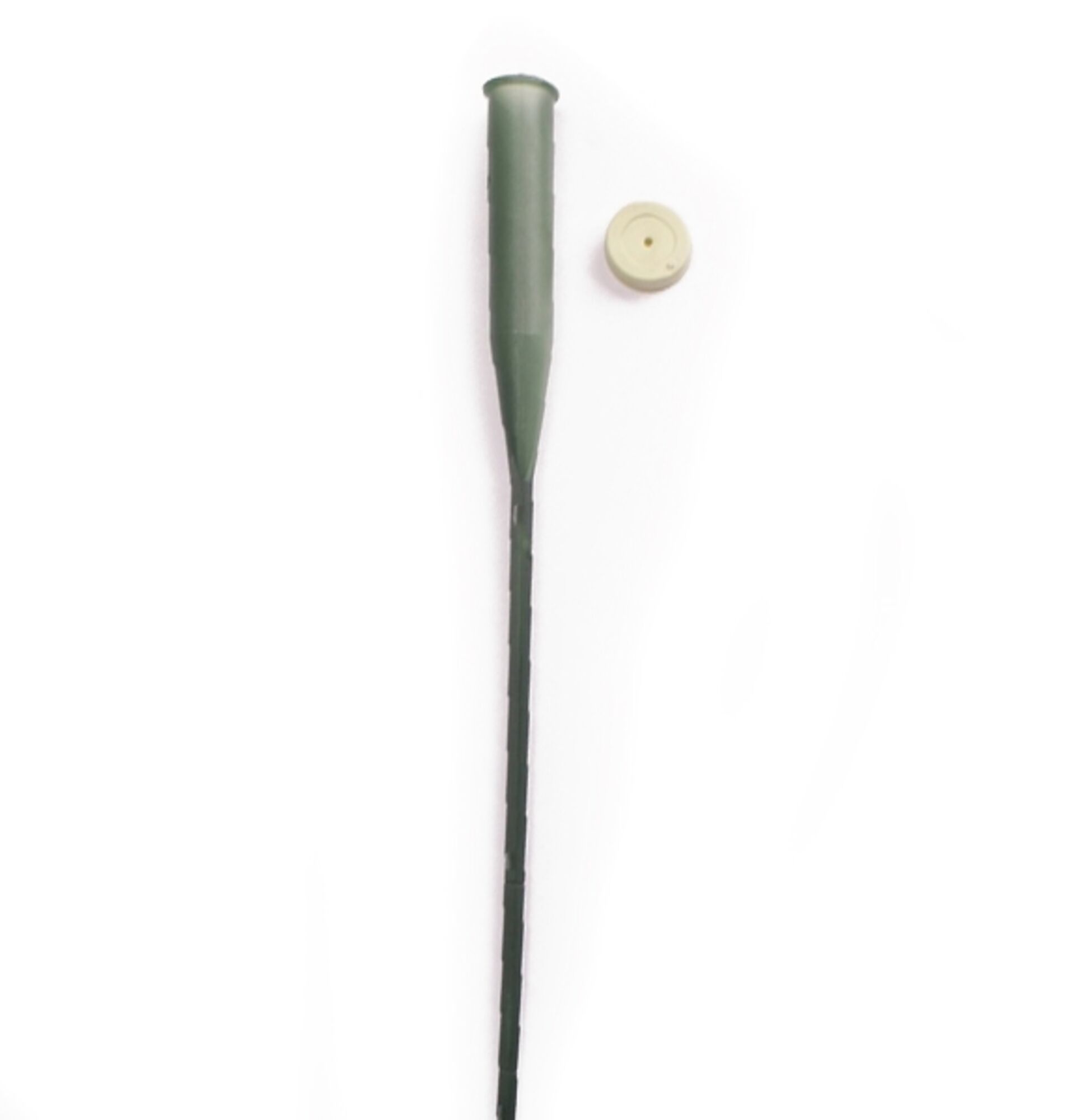 Steekbuis met dop - Groen