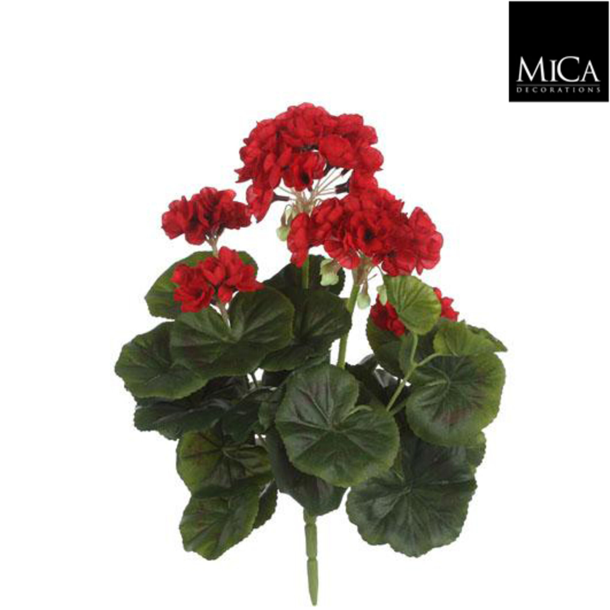 Geranium rood