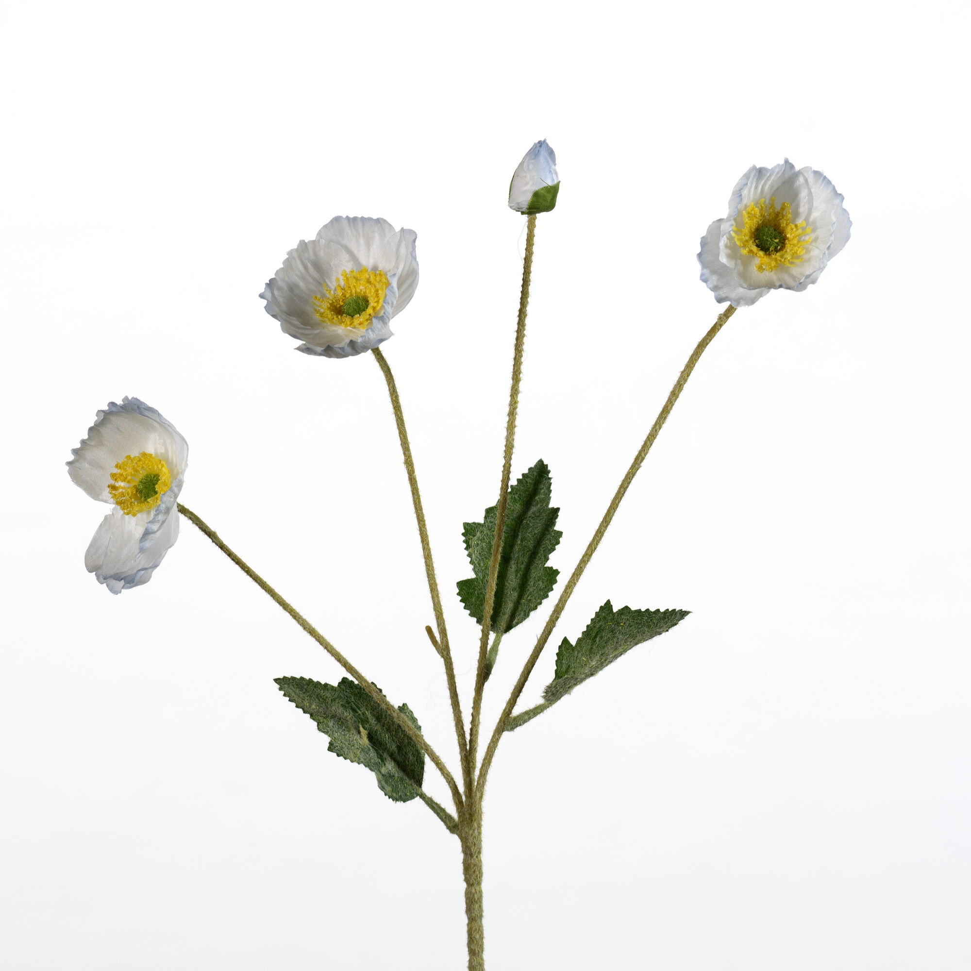Papaver spray x4 flock - L.blue