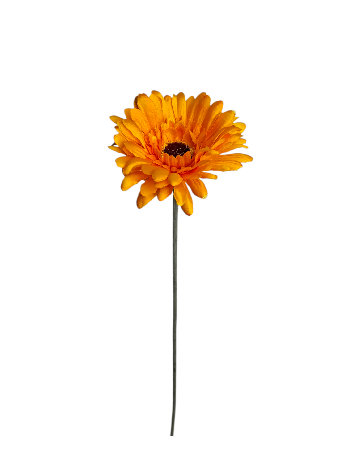 Gerbera - Yellow