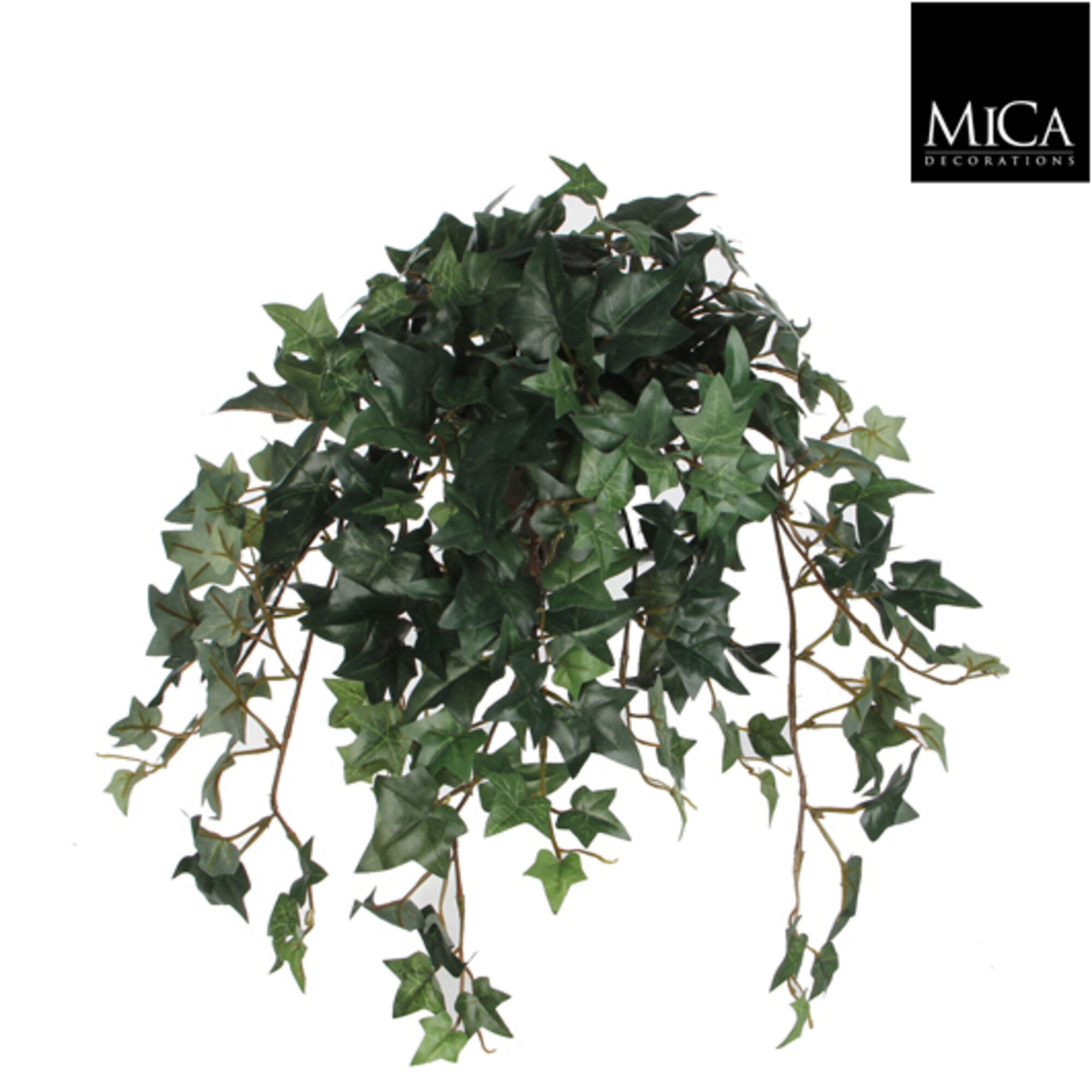 Hedera groen in pot Stan grijs d11,5cm