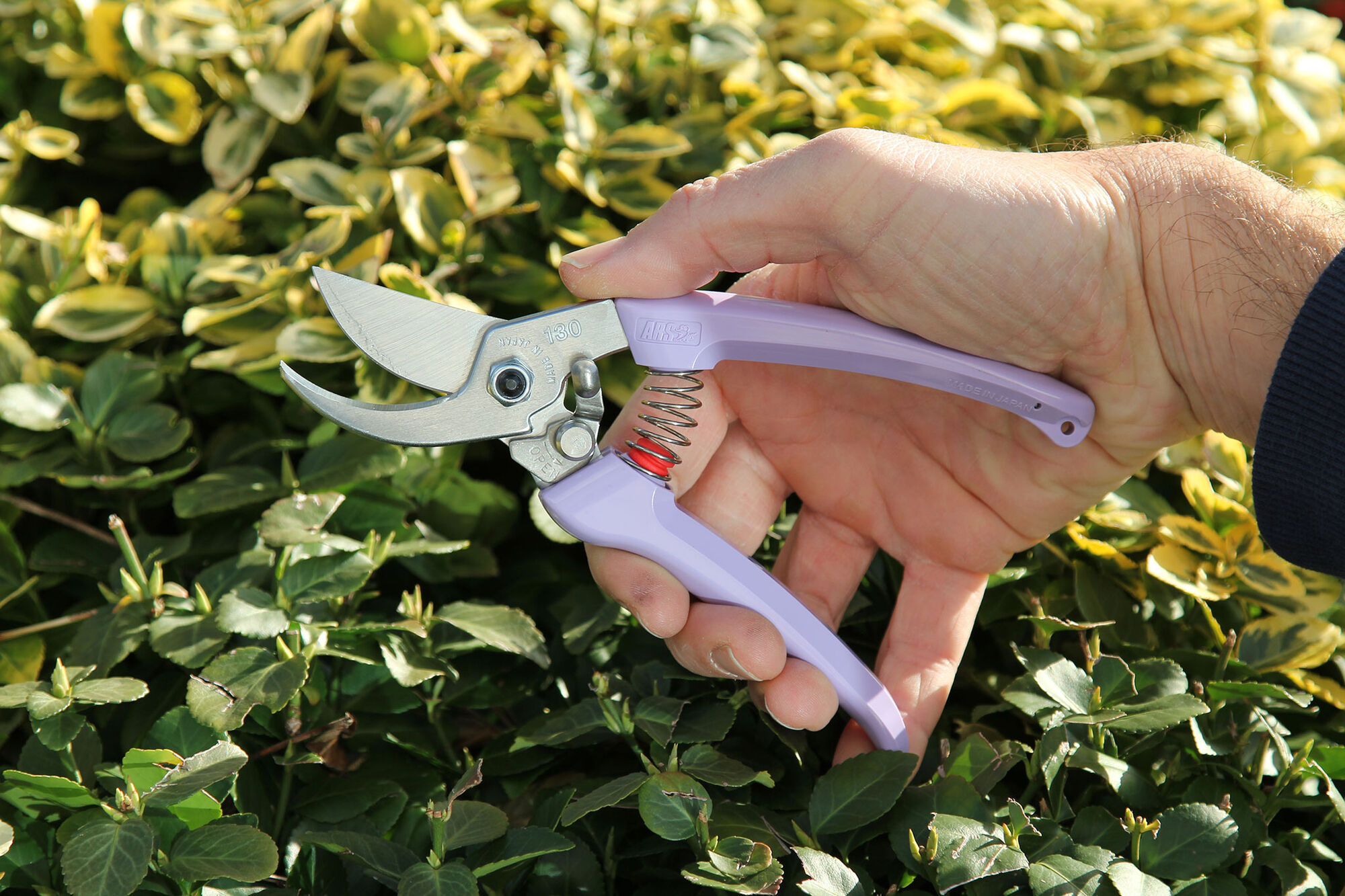 Snoeischaar ARS 130DX - Violet