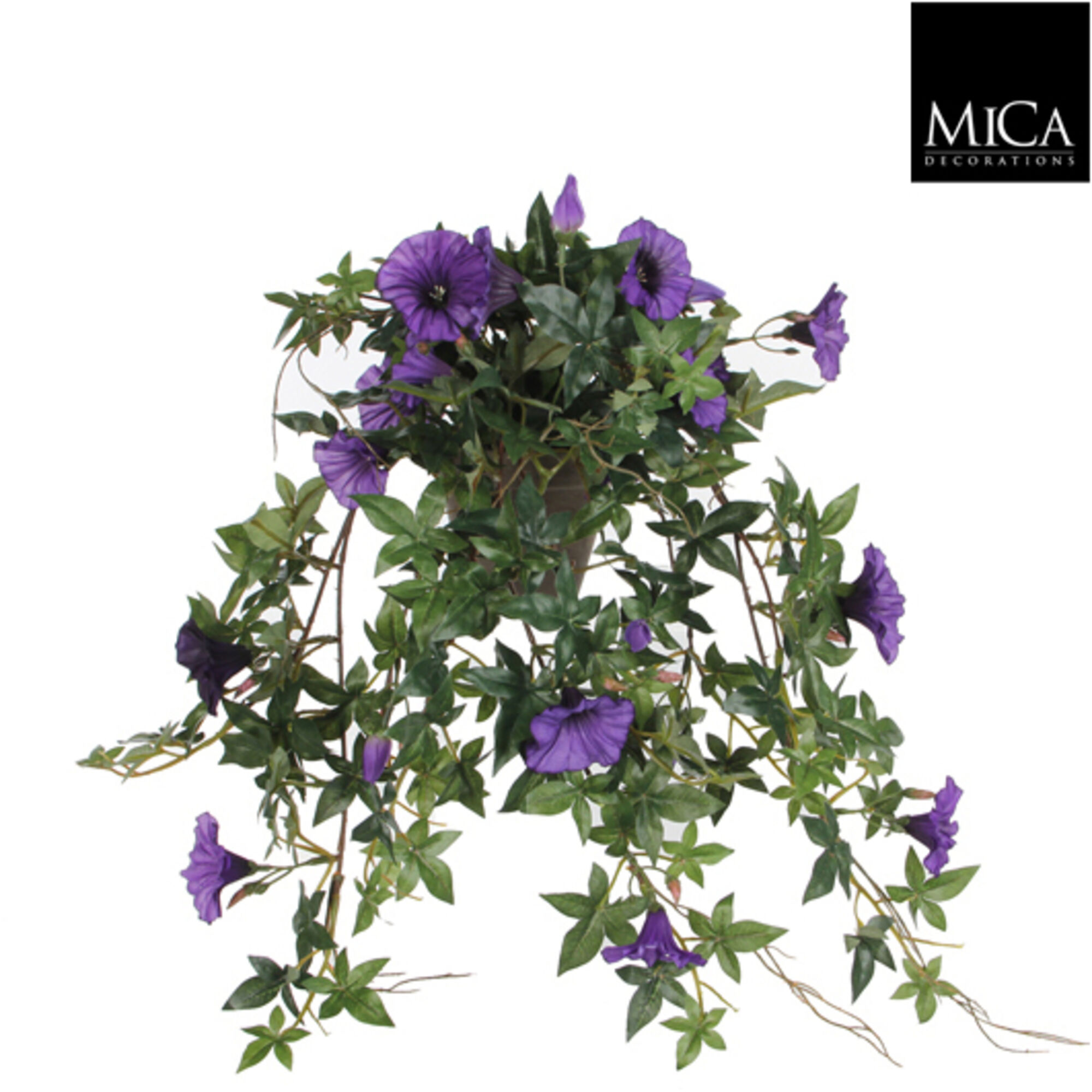 Petunia hangend d.paars in pot Stan grijs d11,5cm