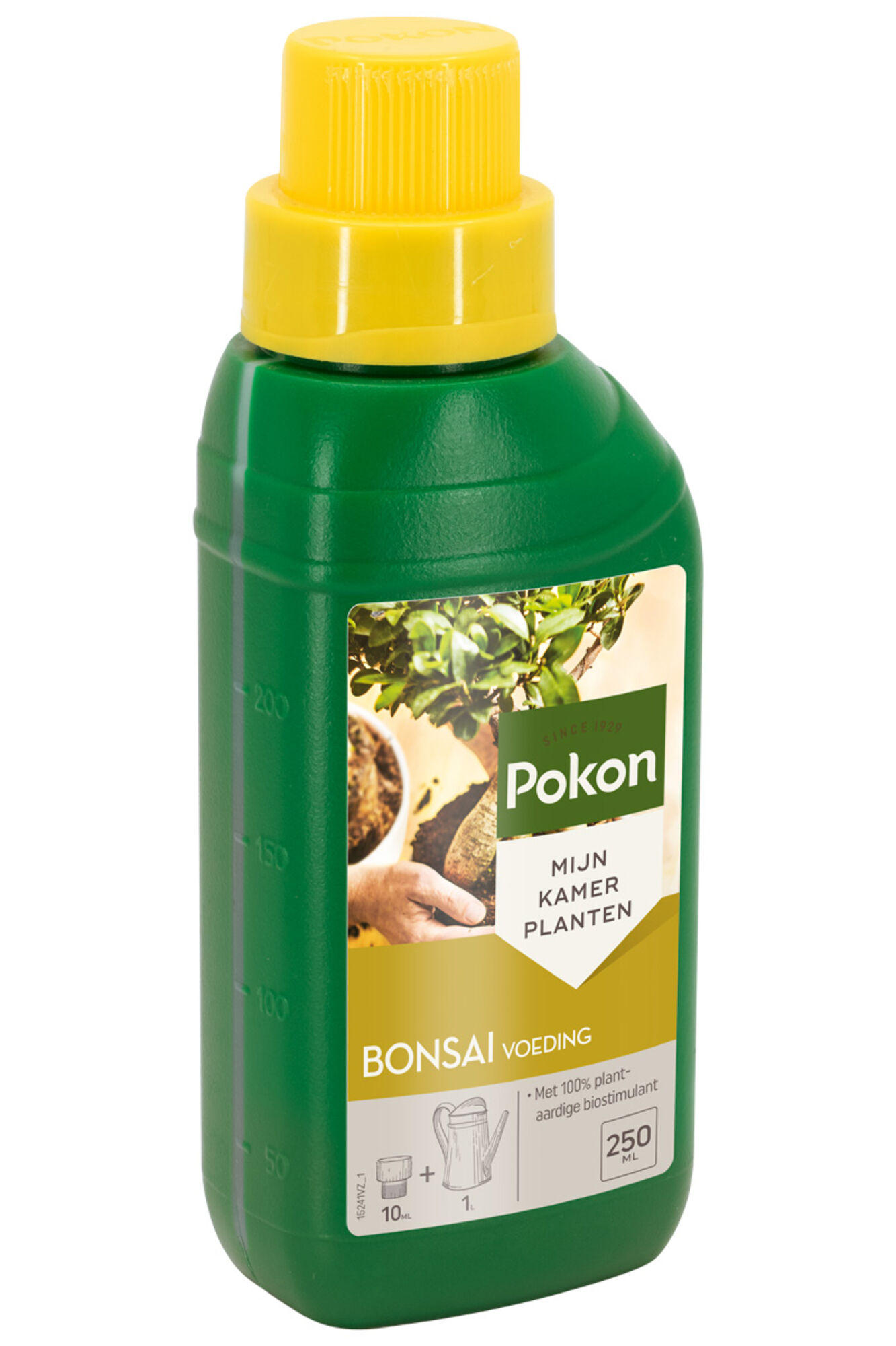 Pokon Bonsai