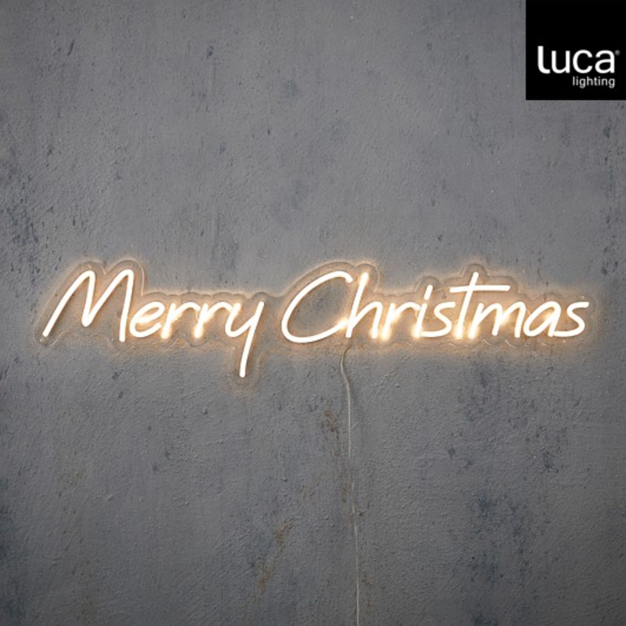Neon light merry christmas warm wit 300led IP20 adapter included