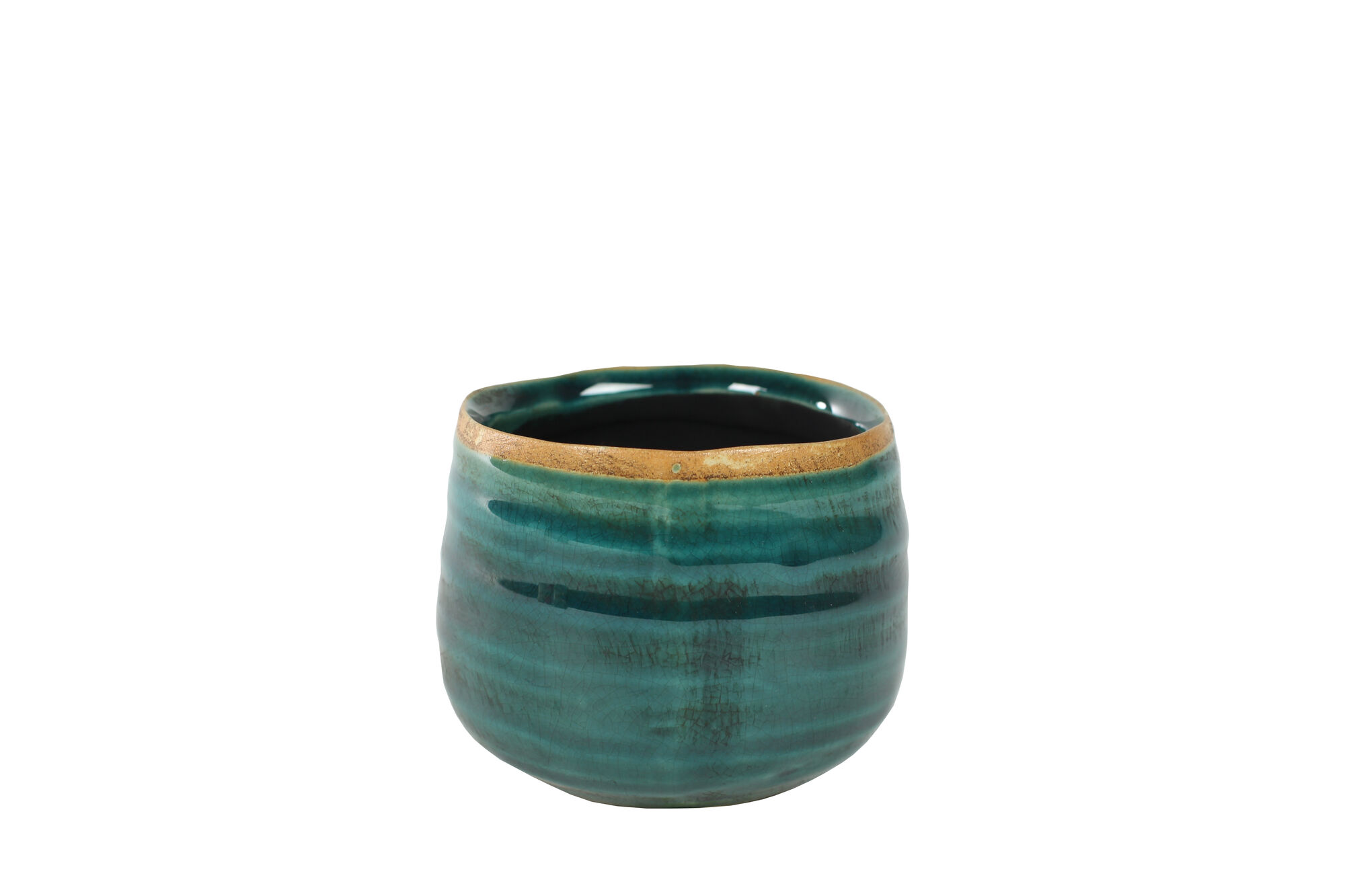 Pot Iris turquoise