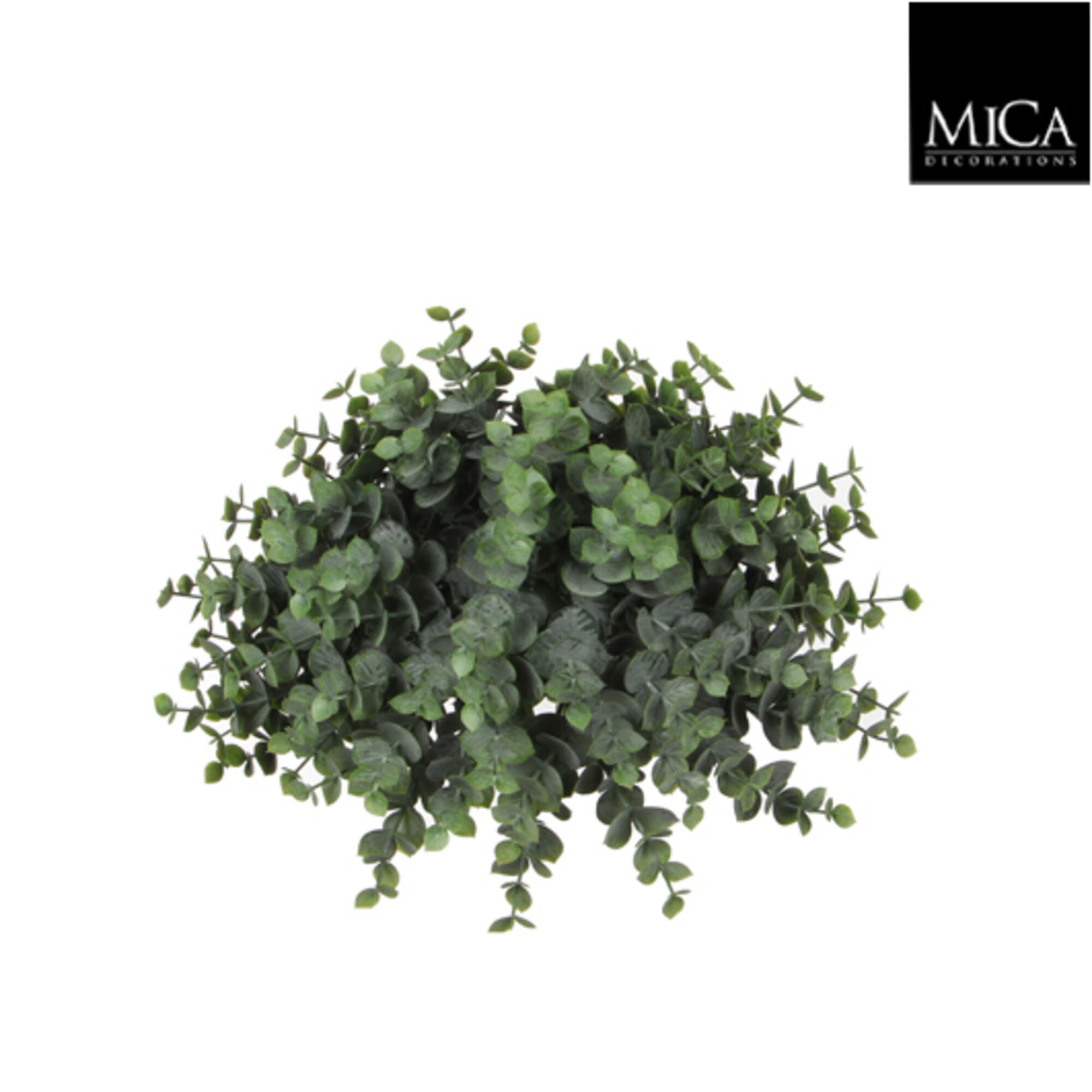 Eucalyptus halve bal groen