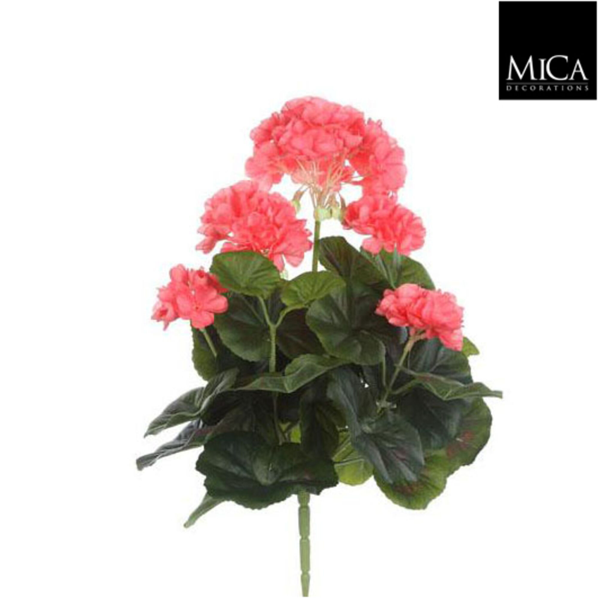 Geranium zalm