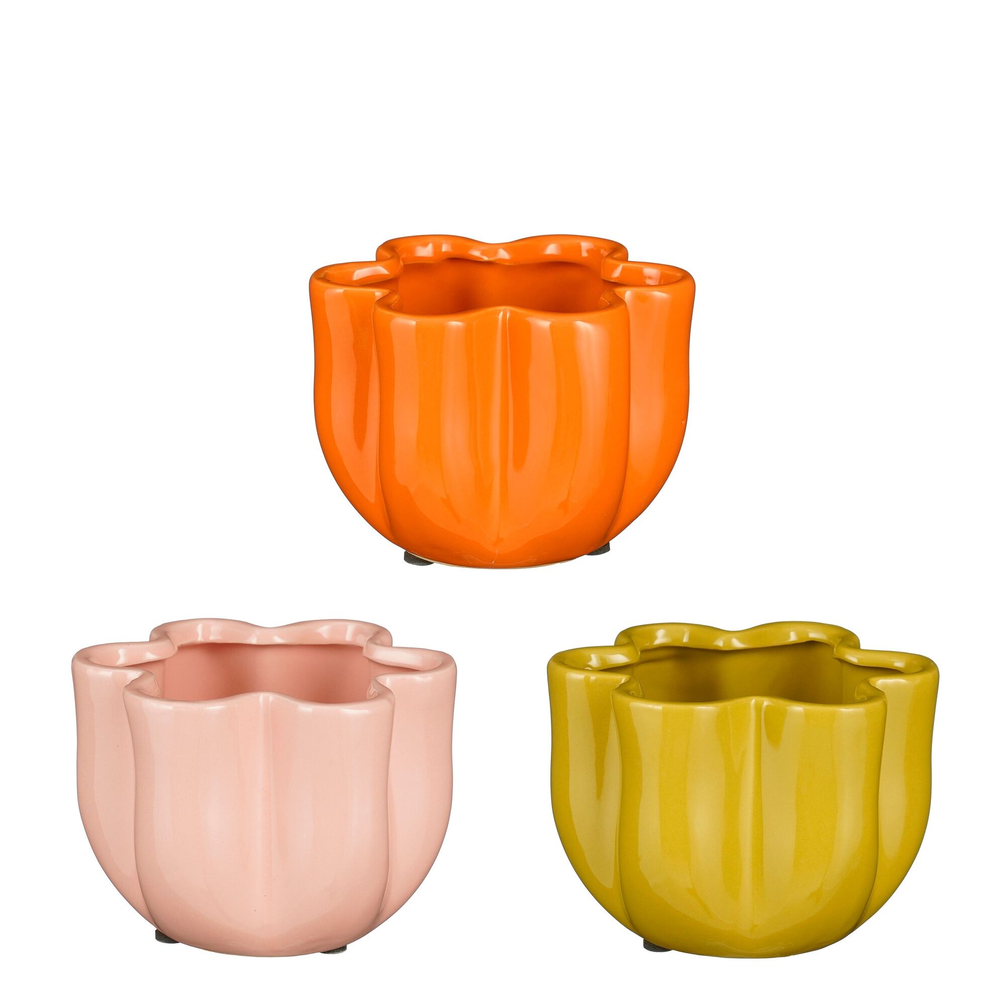Palma pot groen roze oranje 3 assorti