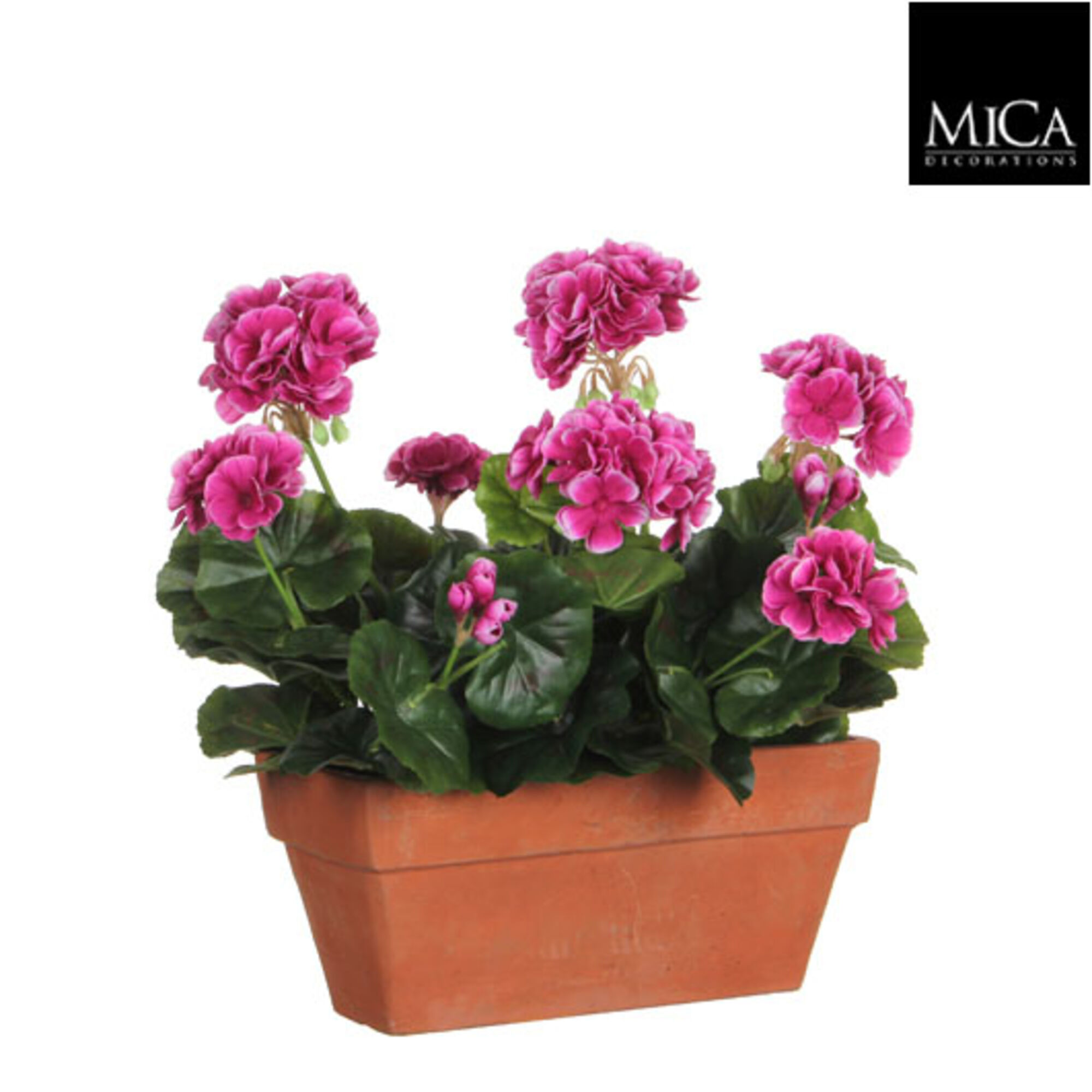 Geranium paars in balkonbak terra