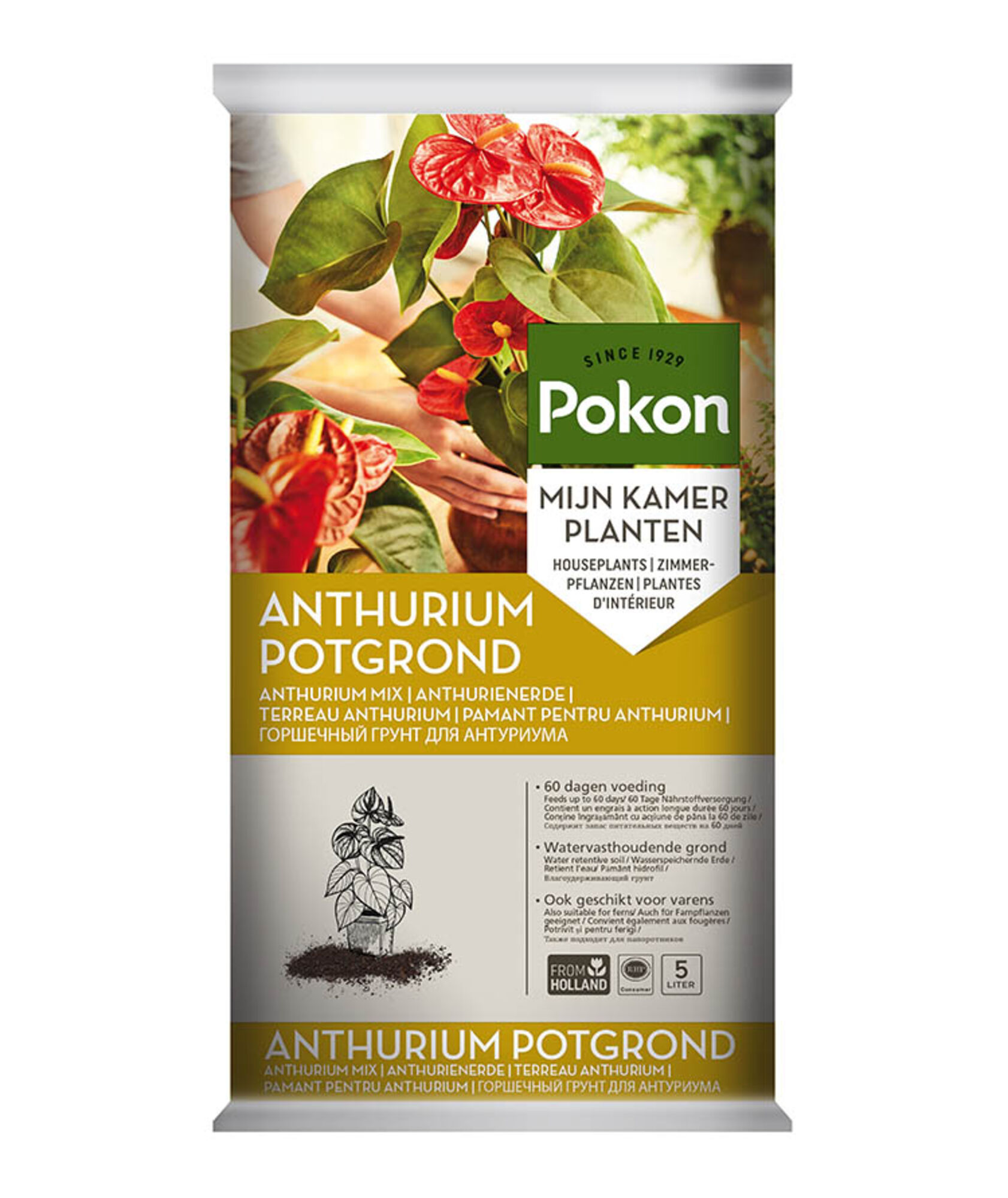 Pokon Anthurium Potgrond